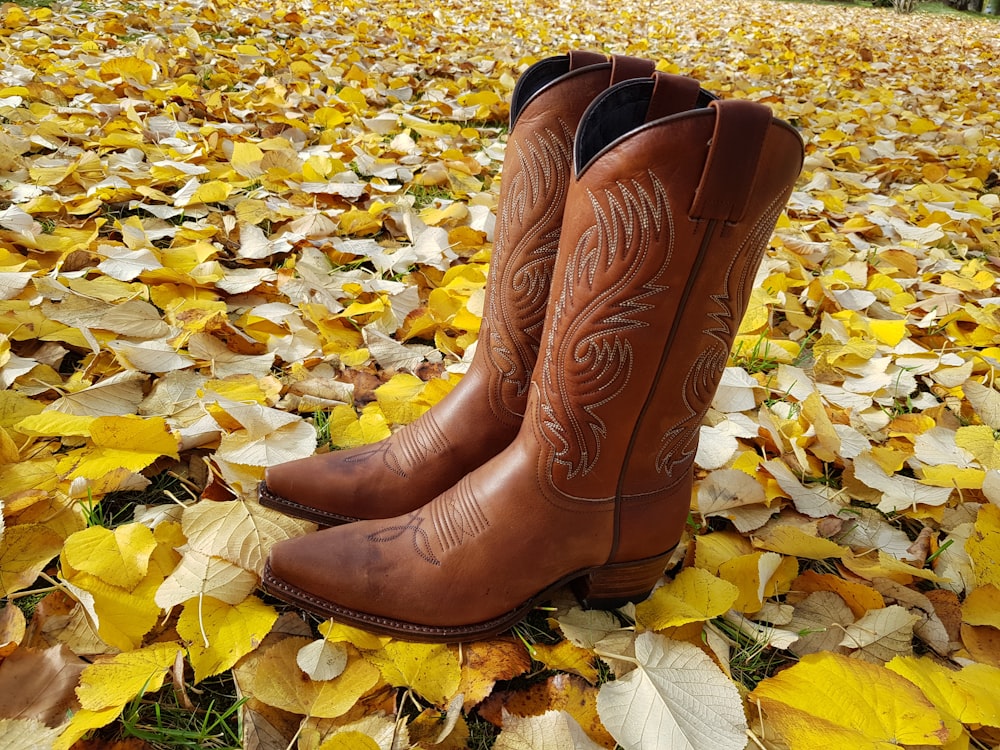 a pair of cowboy boots sitting on top of a pile of leaves