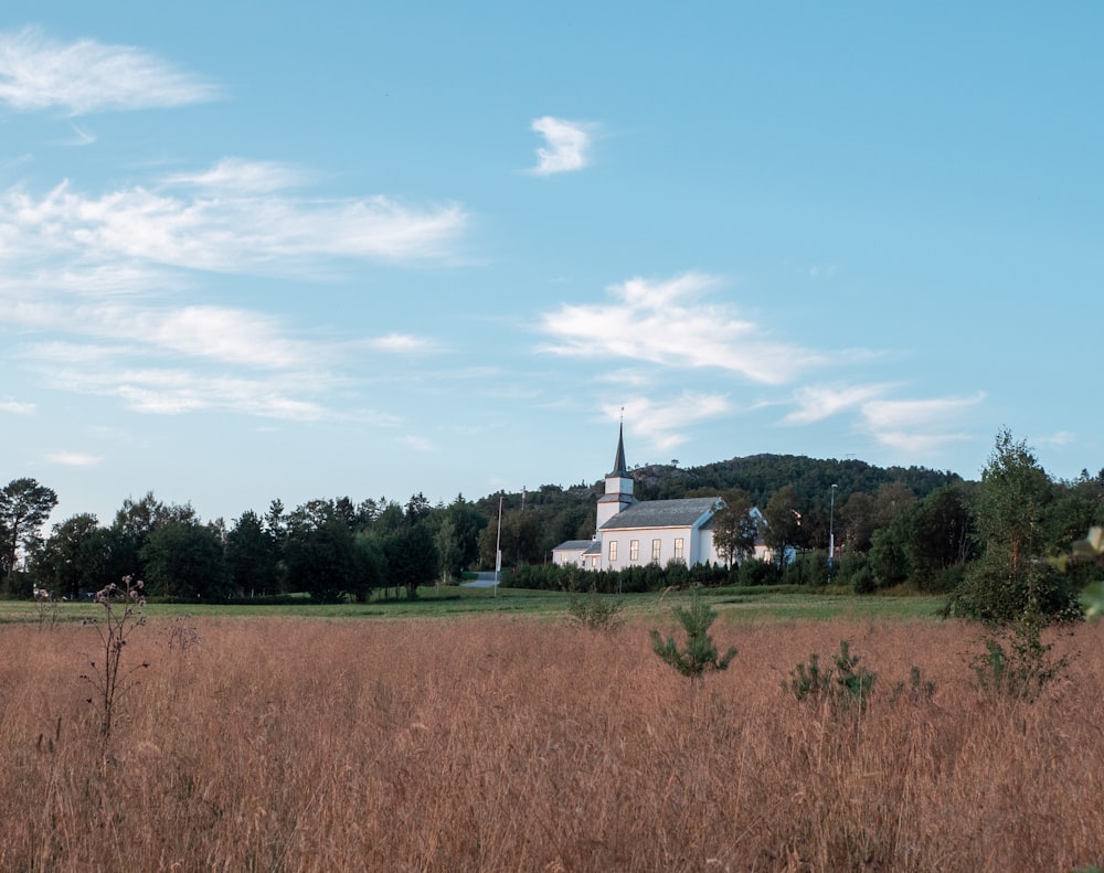 a church in the middle of a field of tall grass