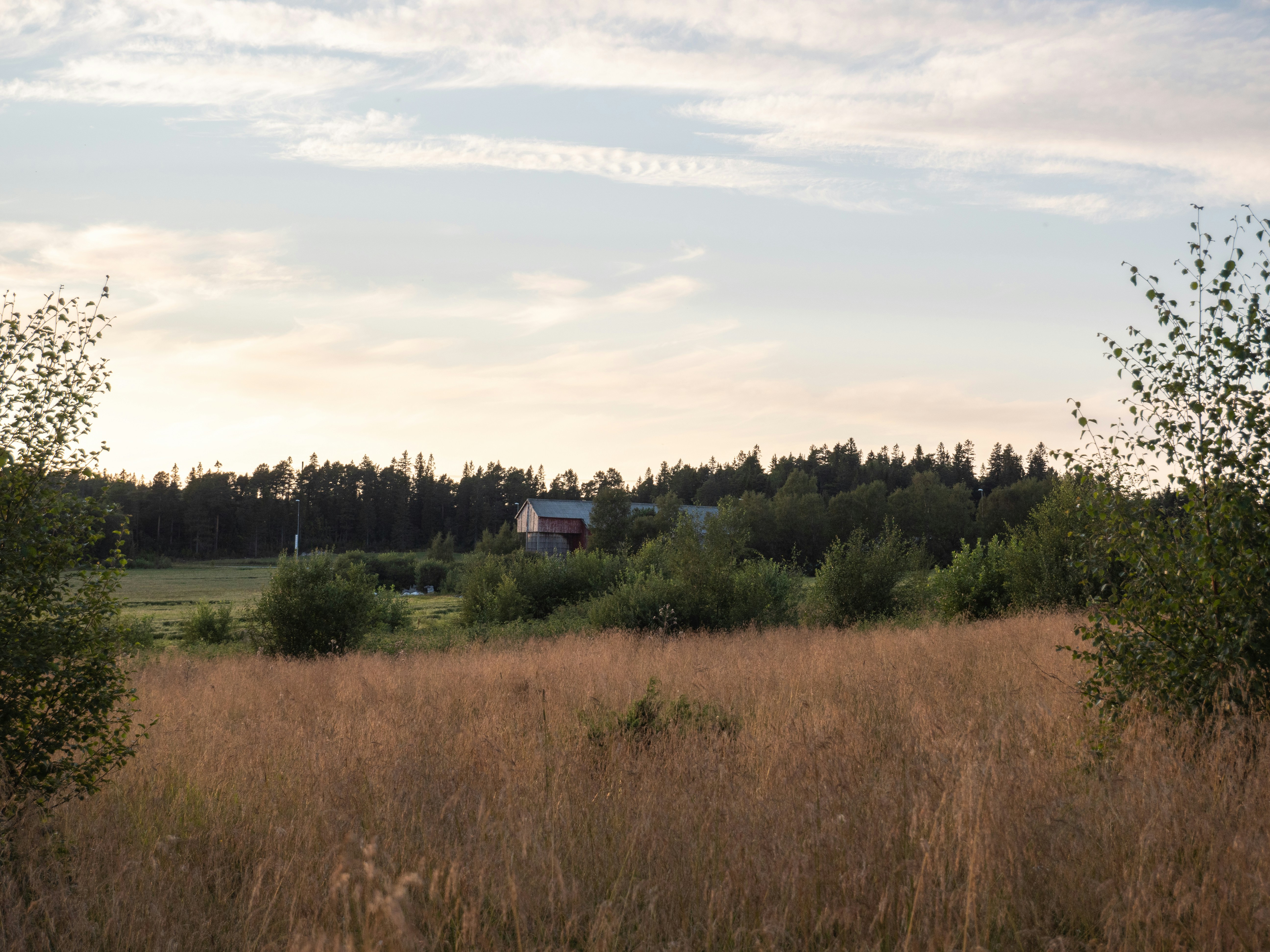 Photo by robinmikalsen