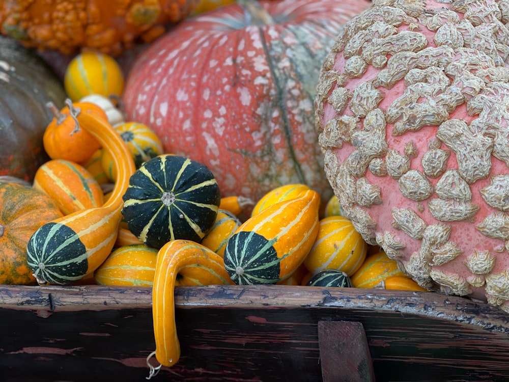a basket filled with lots of different types of gourds