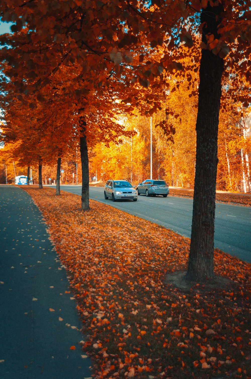 a couple of cars parked on the side of a road