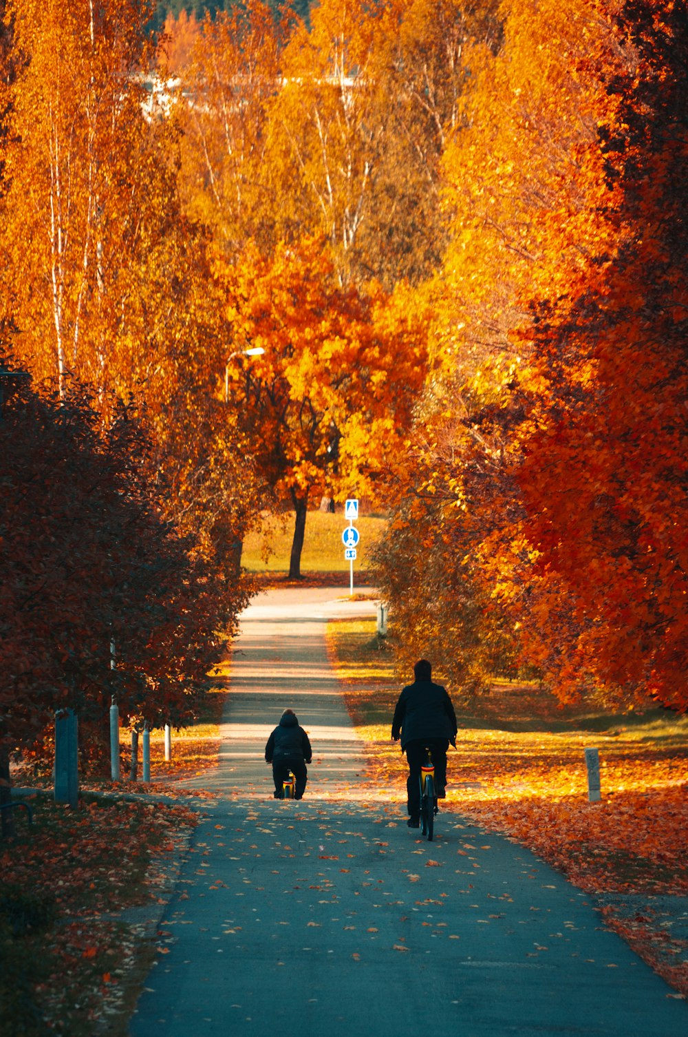 a couple of people riding bikes down a road