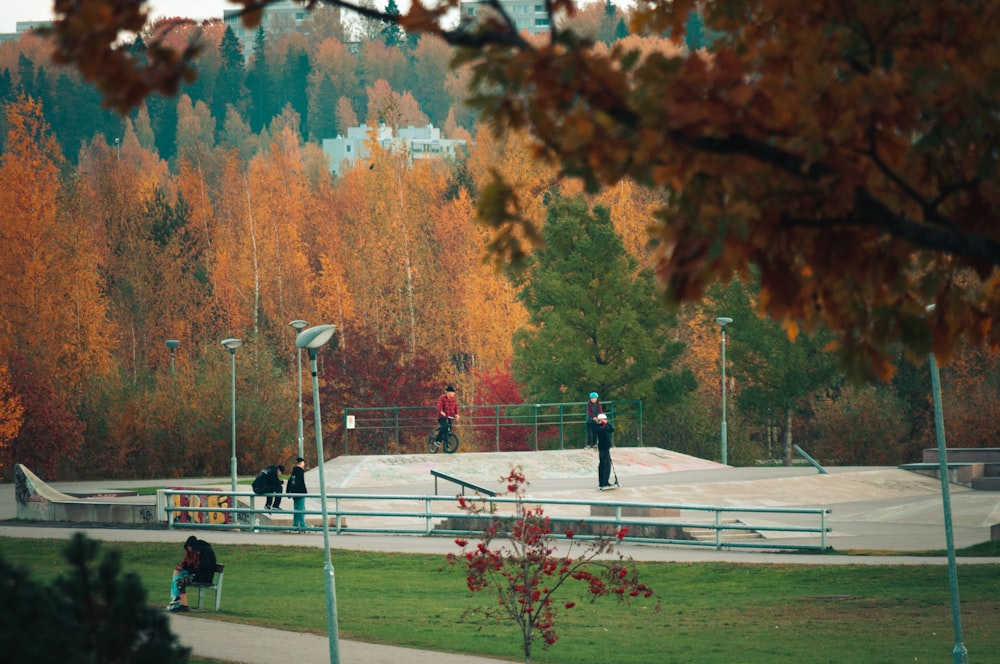 a group of people riding skateboards on top of a ramp