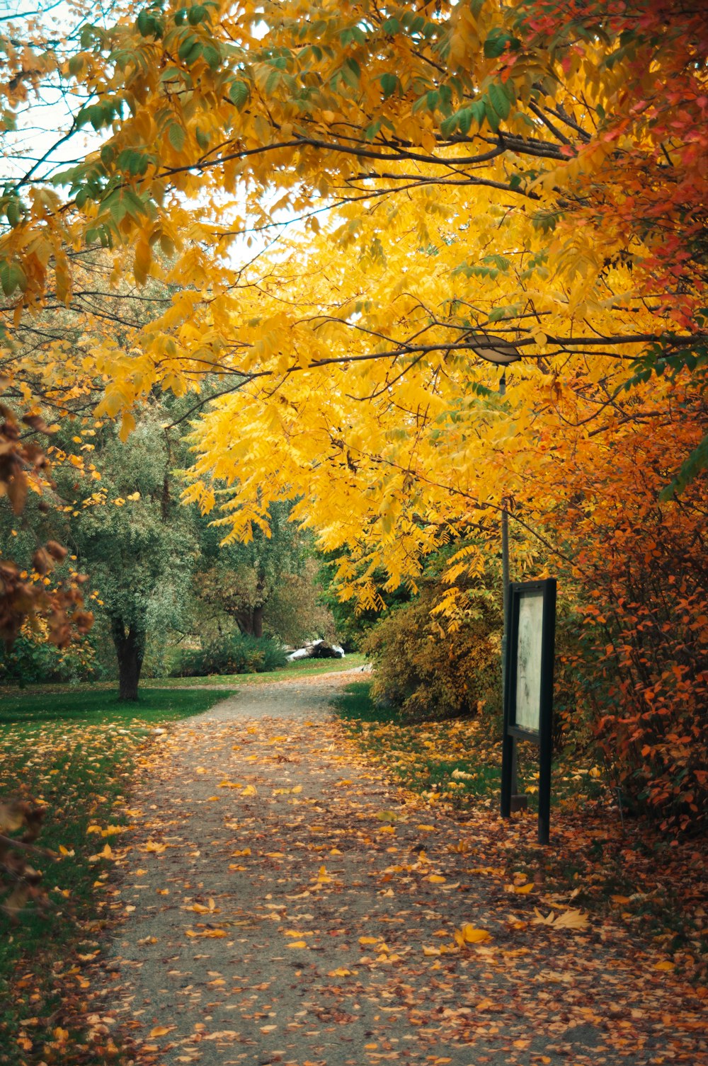 a leaf covered path with a sign in the middle of it