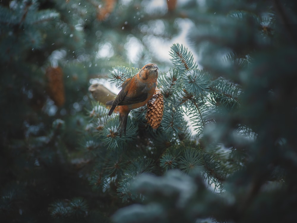 a bird perched on a tree branch