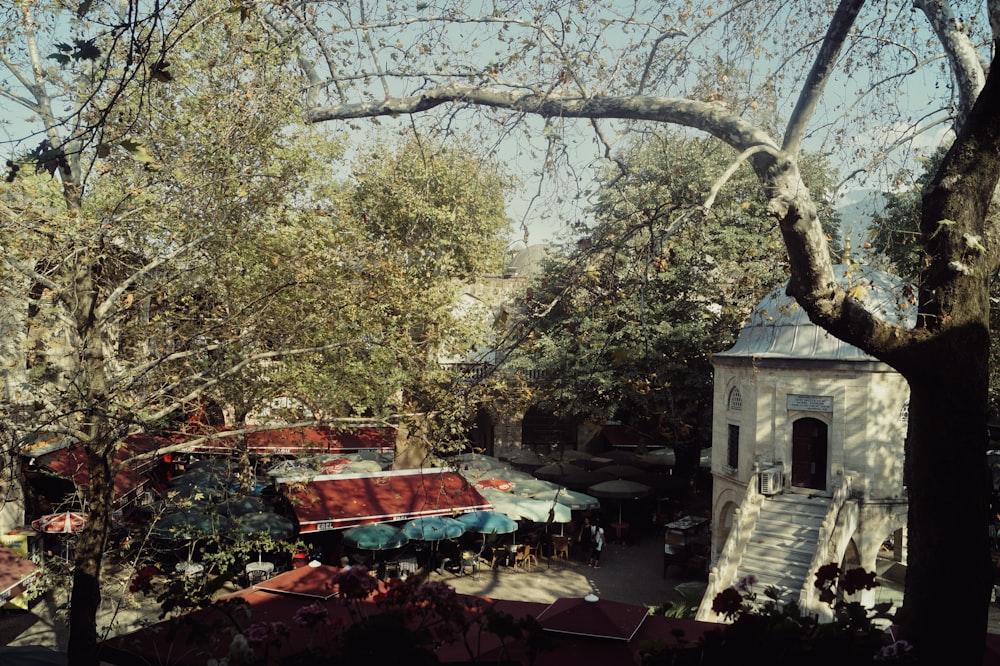 Una vista de un edificio desde un árbol