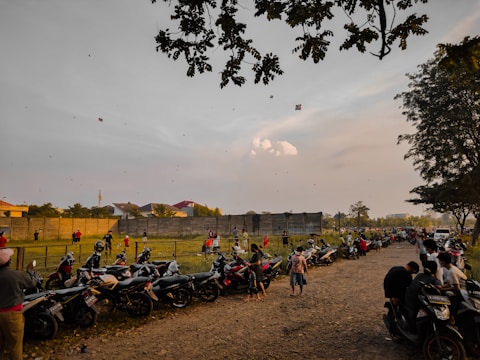 An outdoor scene with people engaging in hobbies.