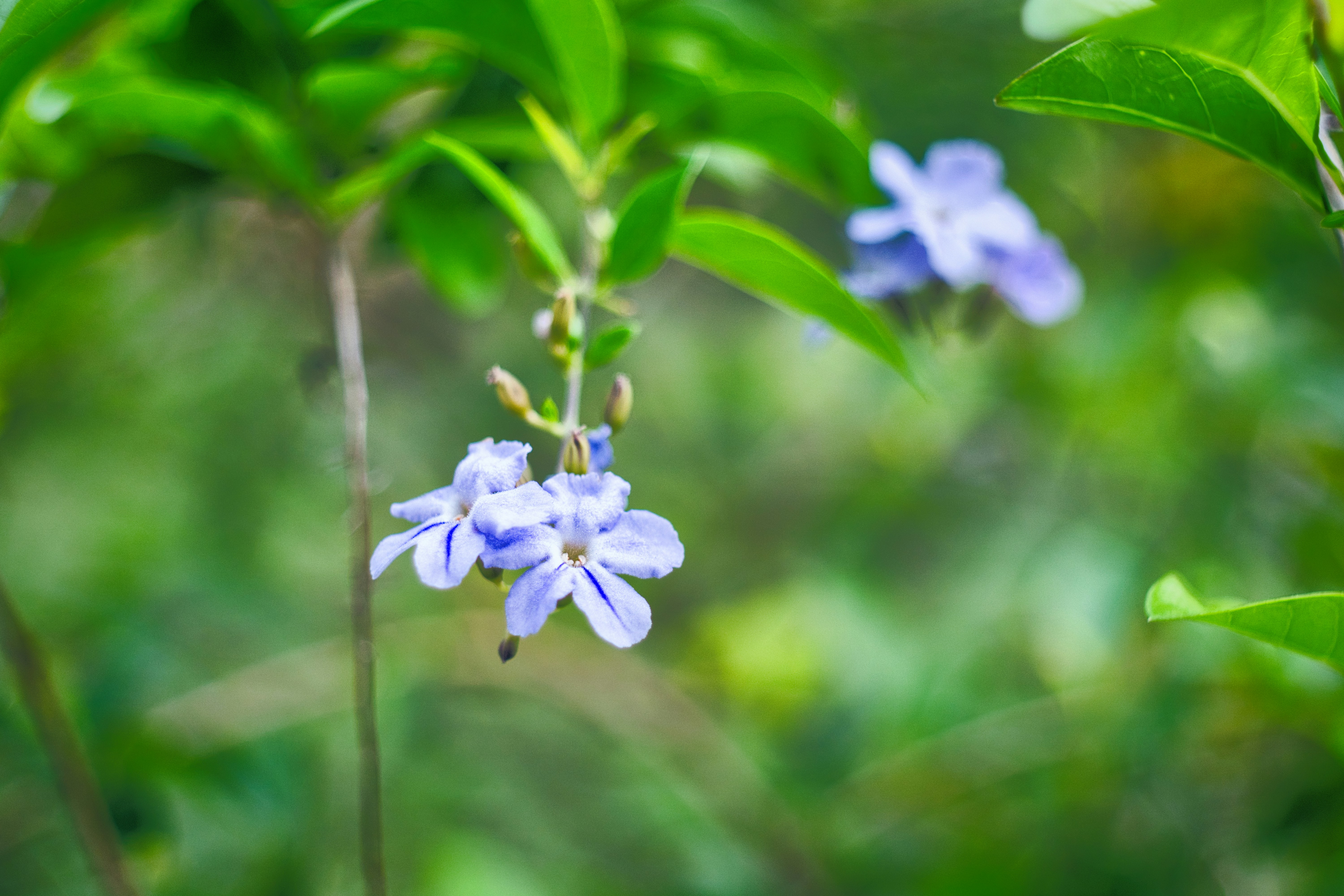 Photo by thomaskinto