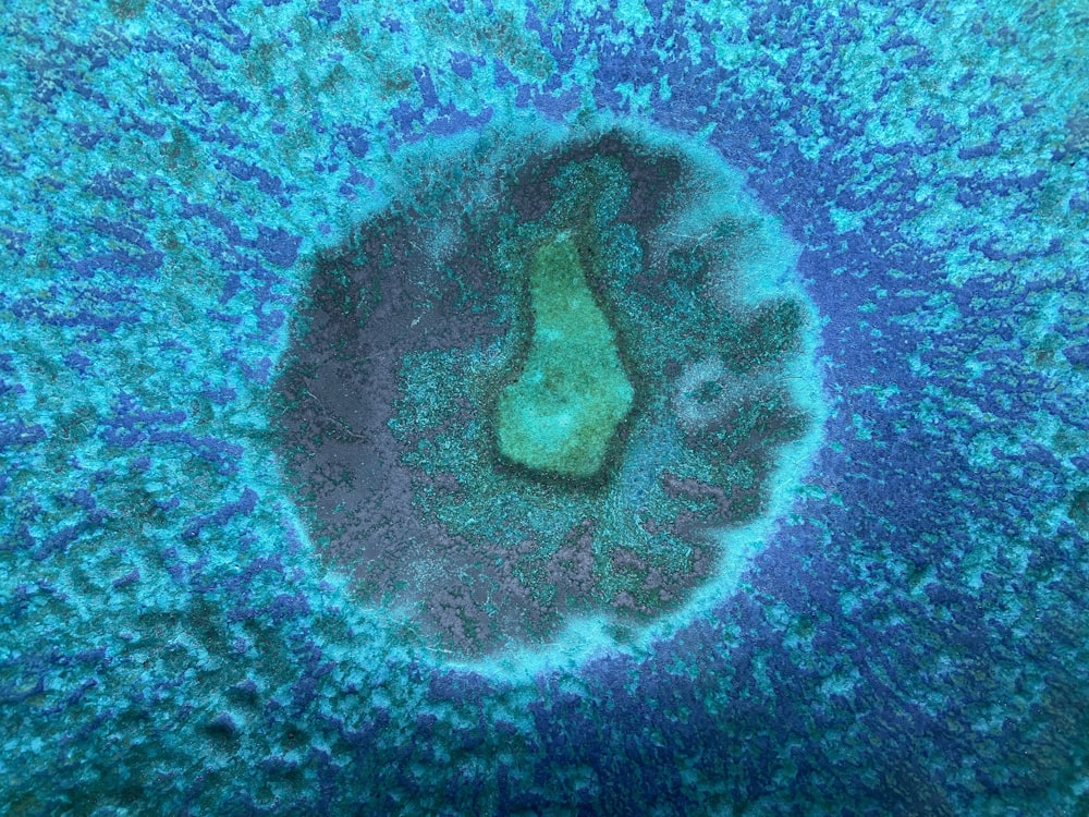 Una vista aérea de un coral azul y verde