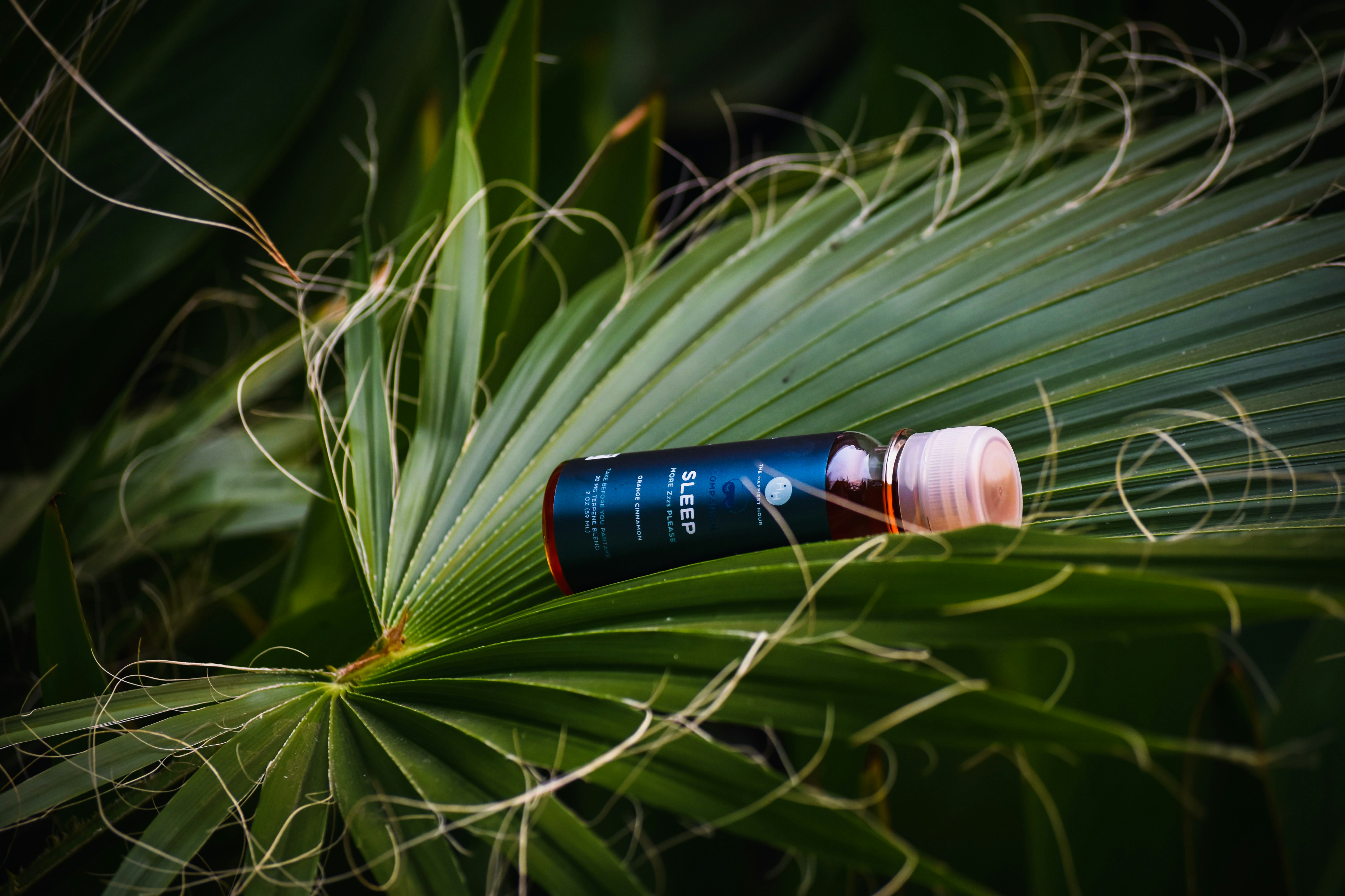 Photo by daniellestein