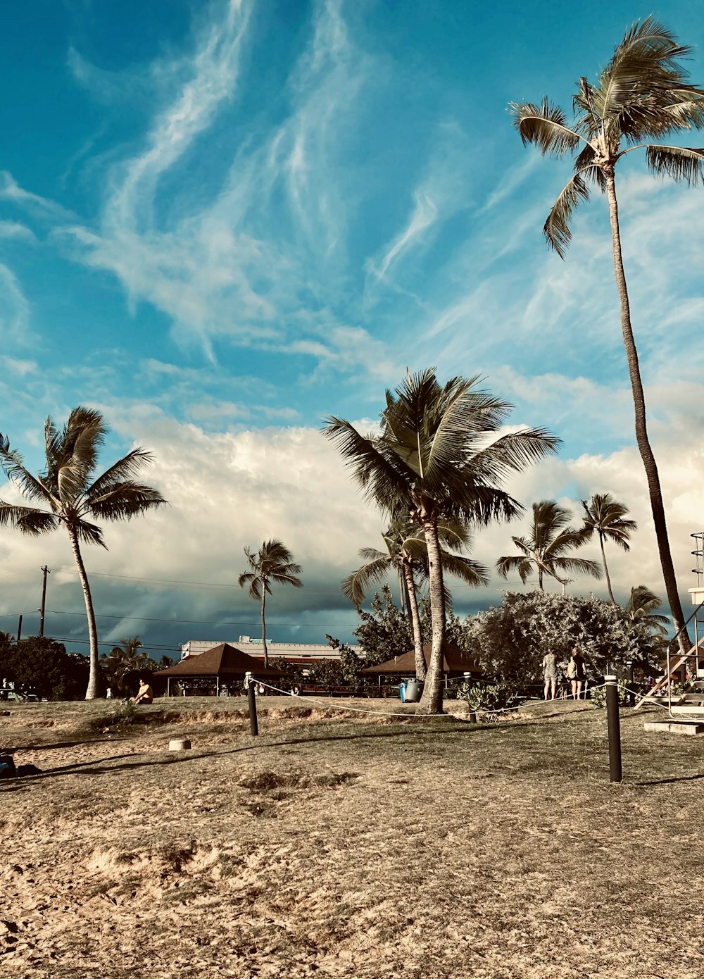 a sandy beach with palm trees on a cloudy day