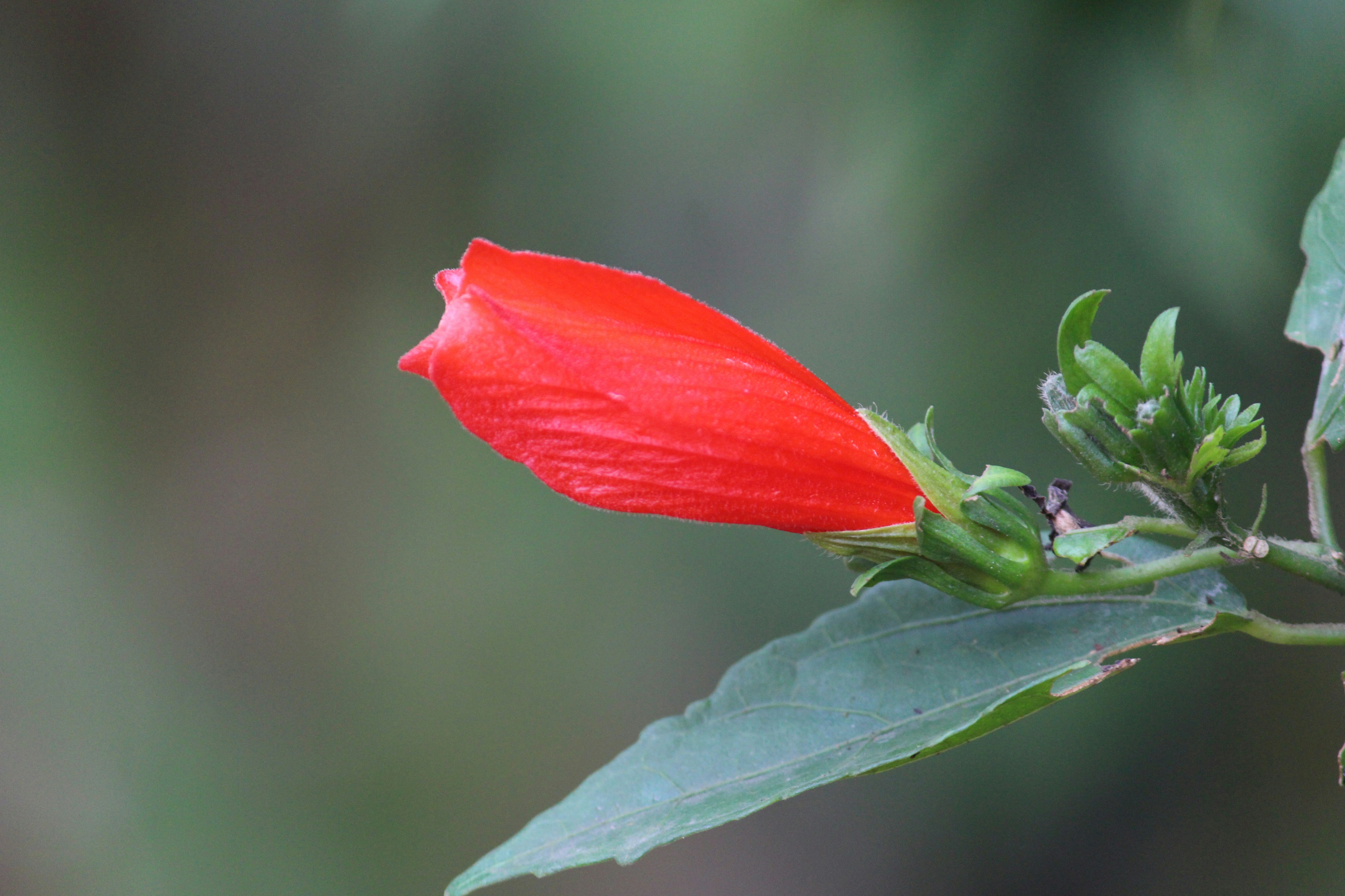 Photo by shridhardixit