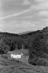 A solitary, rustic cottage nestled in a lush, woodland valley. Surrounded by dense trees and open countryside, the scene is peaceful and idyllic. Rolling hills and a partly cloudy sky complete the tranquil rural landscape.