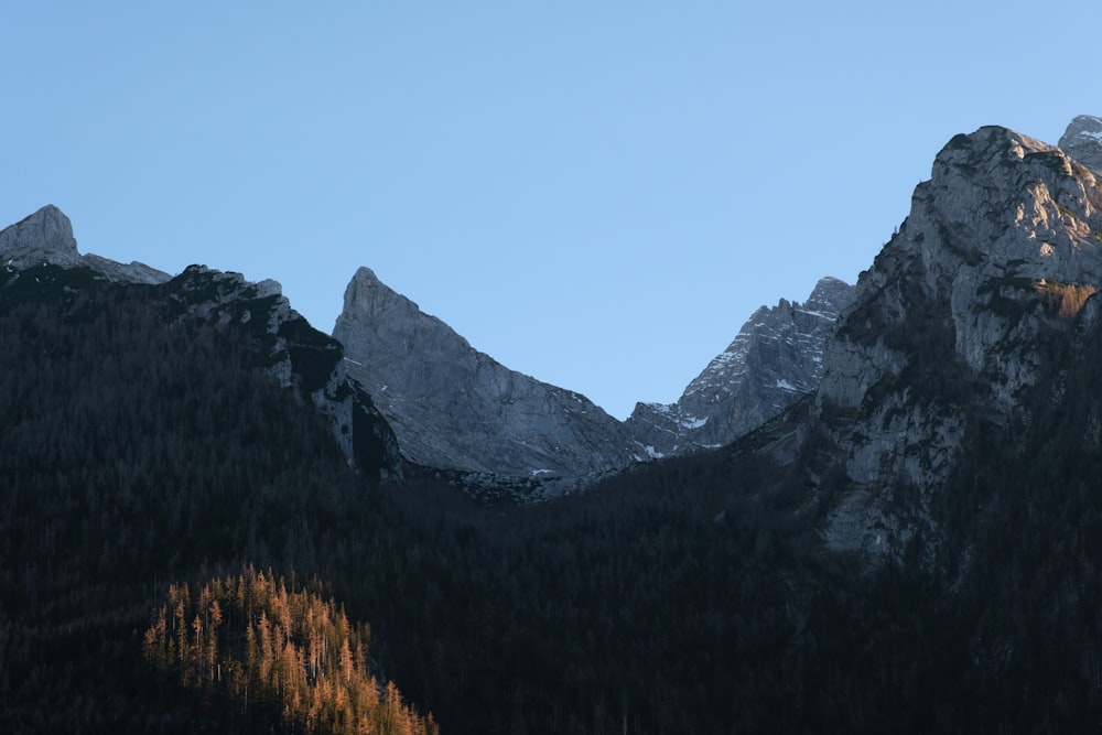 a group of mountains with trees in the foreground