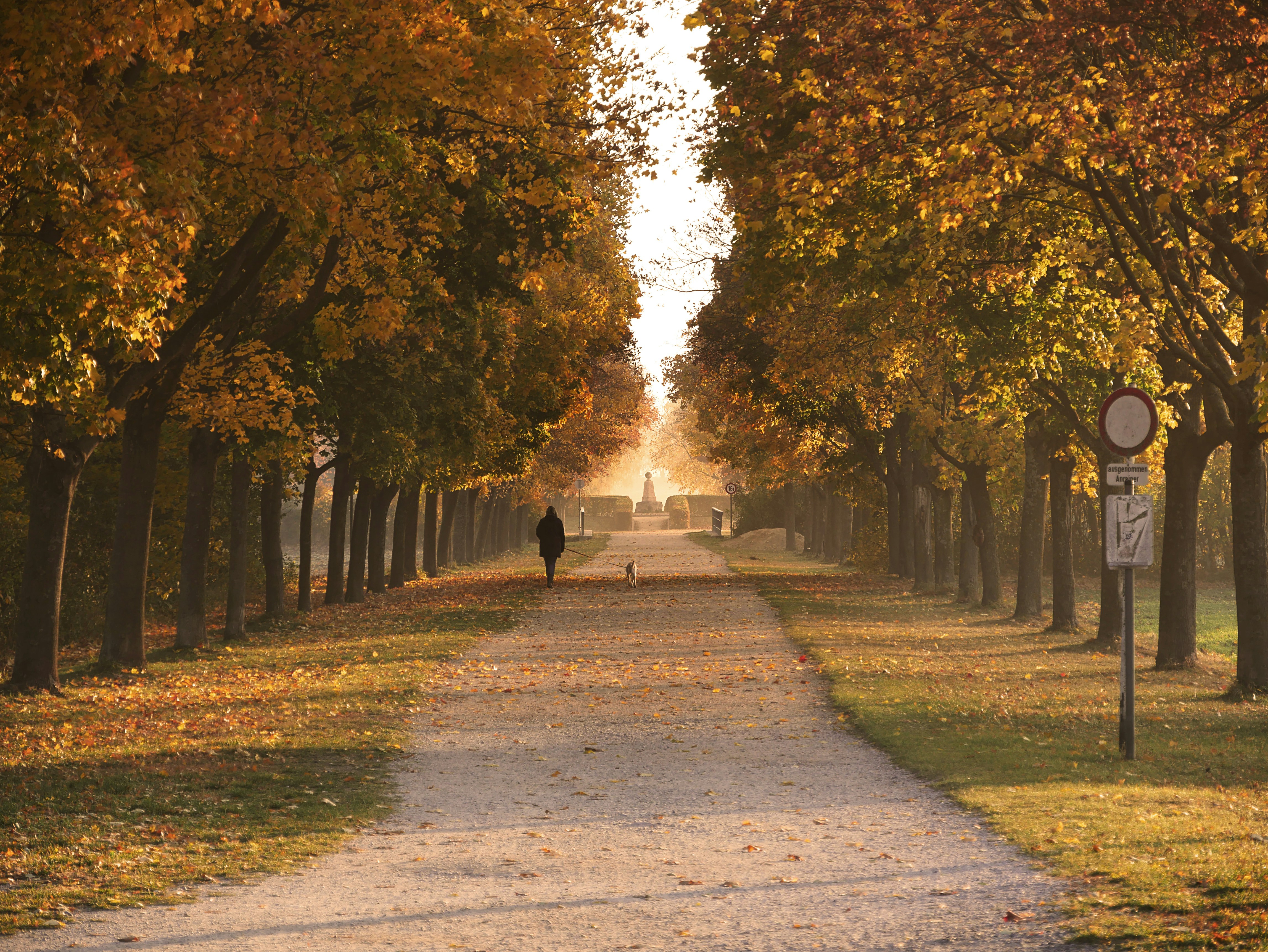 Photo by pino_rumbero