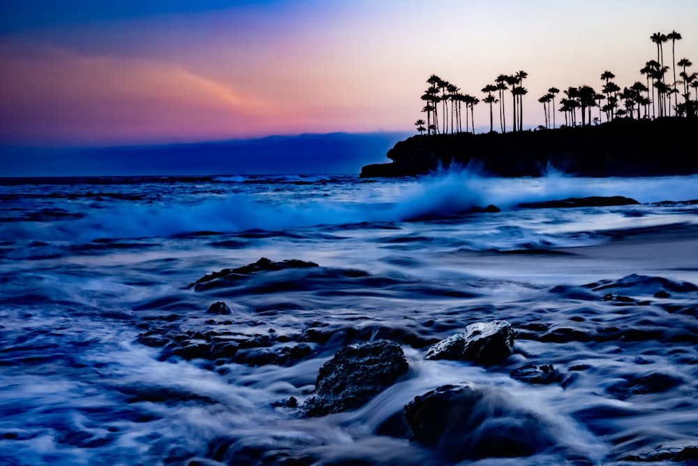 a sunset view of the ocean with palm trees in the background