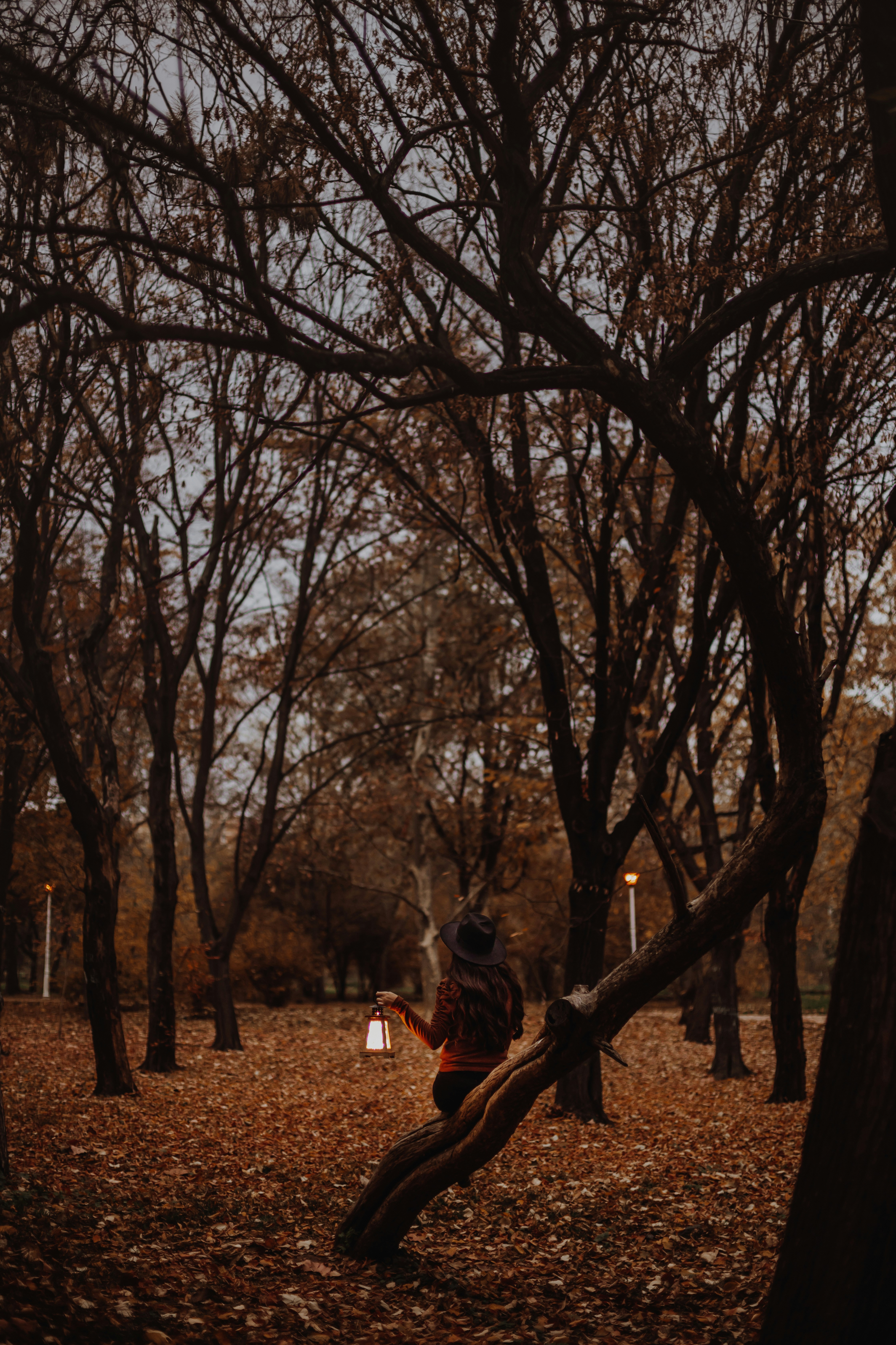 Photo by sabinasturzu