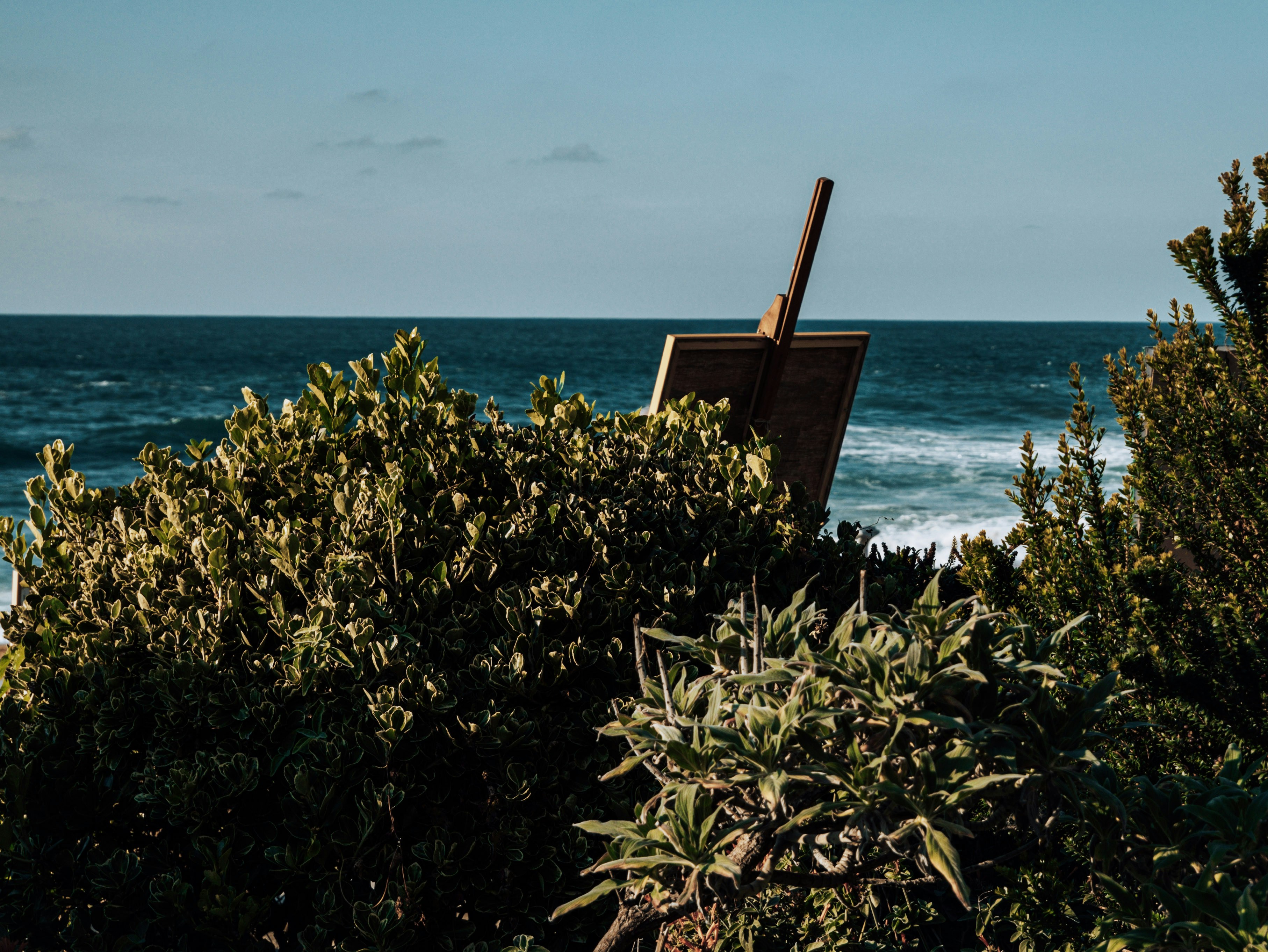 a wooden easel sitting on top of a bush next to the ocean