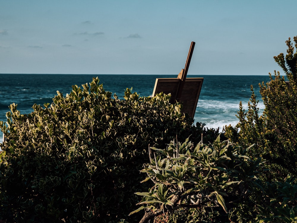 a wooden easel sitting on top of a bush next to the ocean