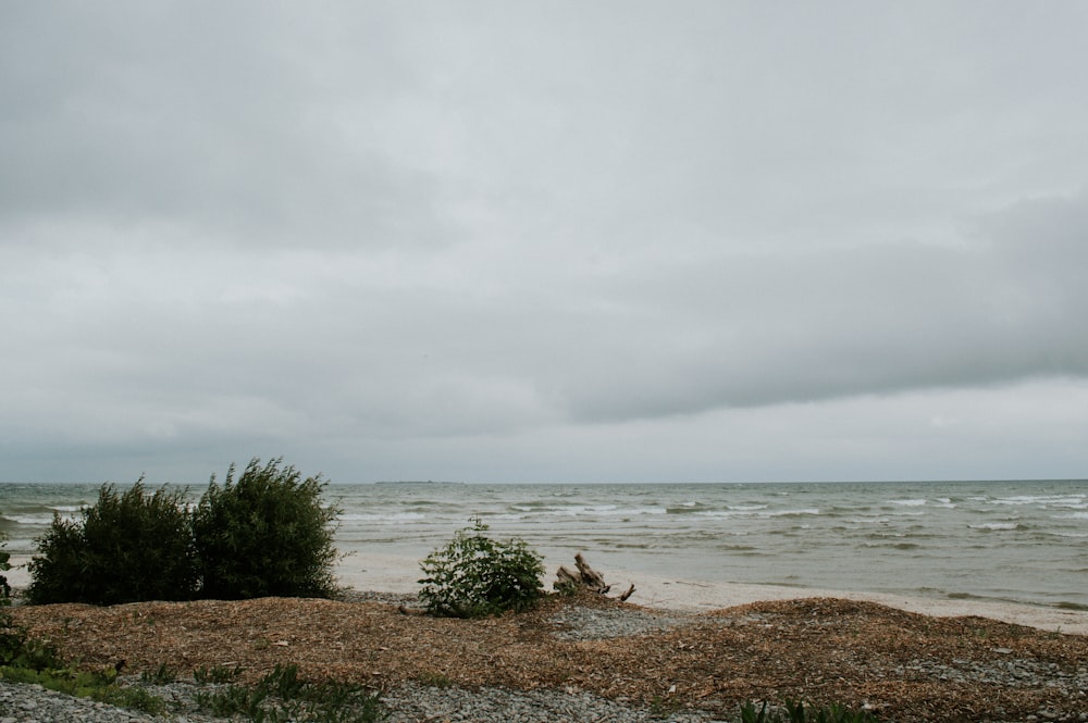 a view of a body of water from a beach