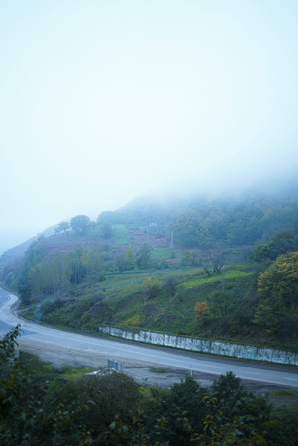 a foggy day on a winding country road