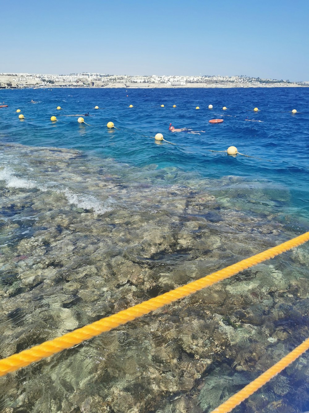 a group of people swimming in the ocean