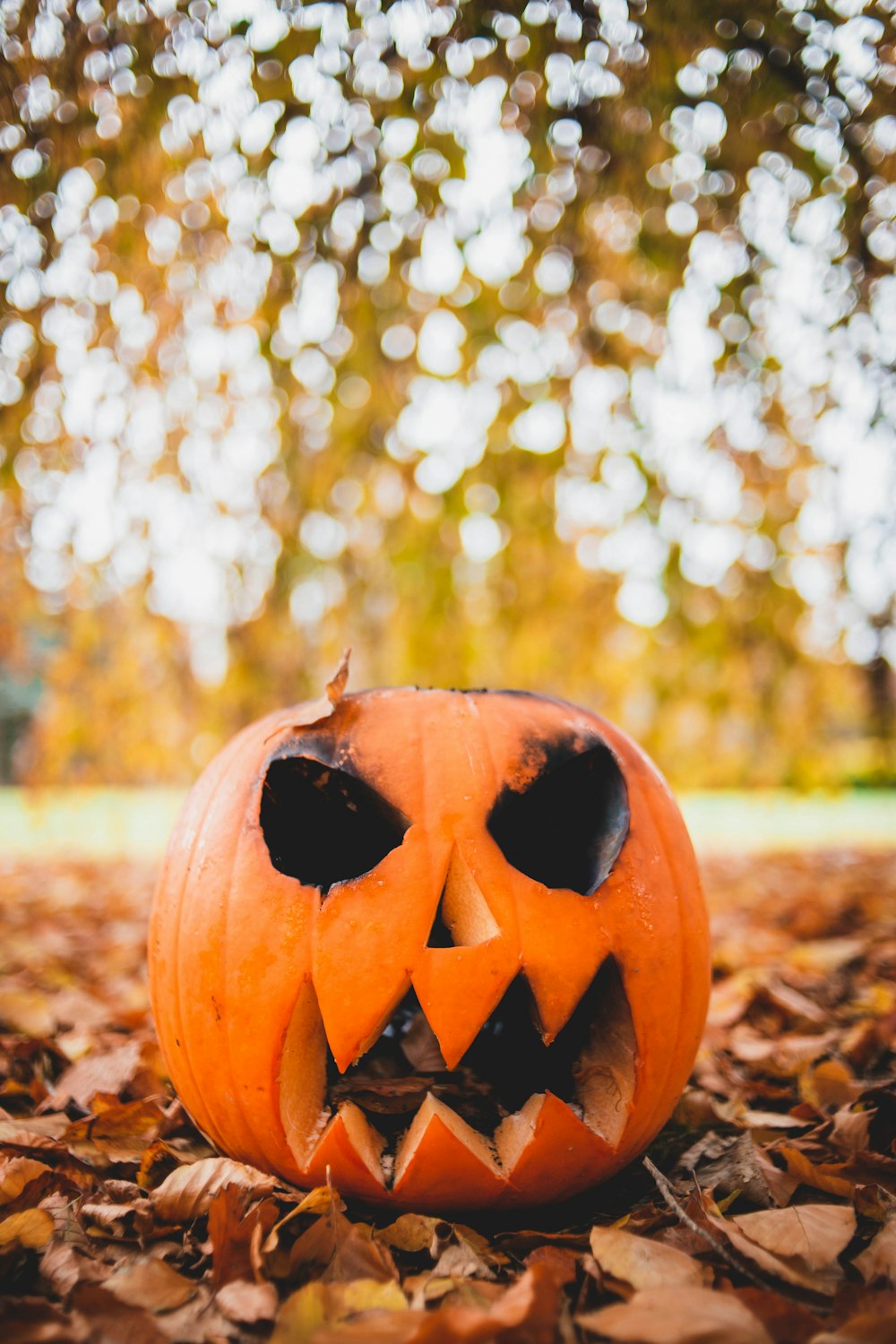 a jack o lantern sitting on top of leaves