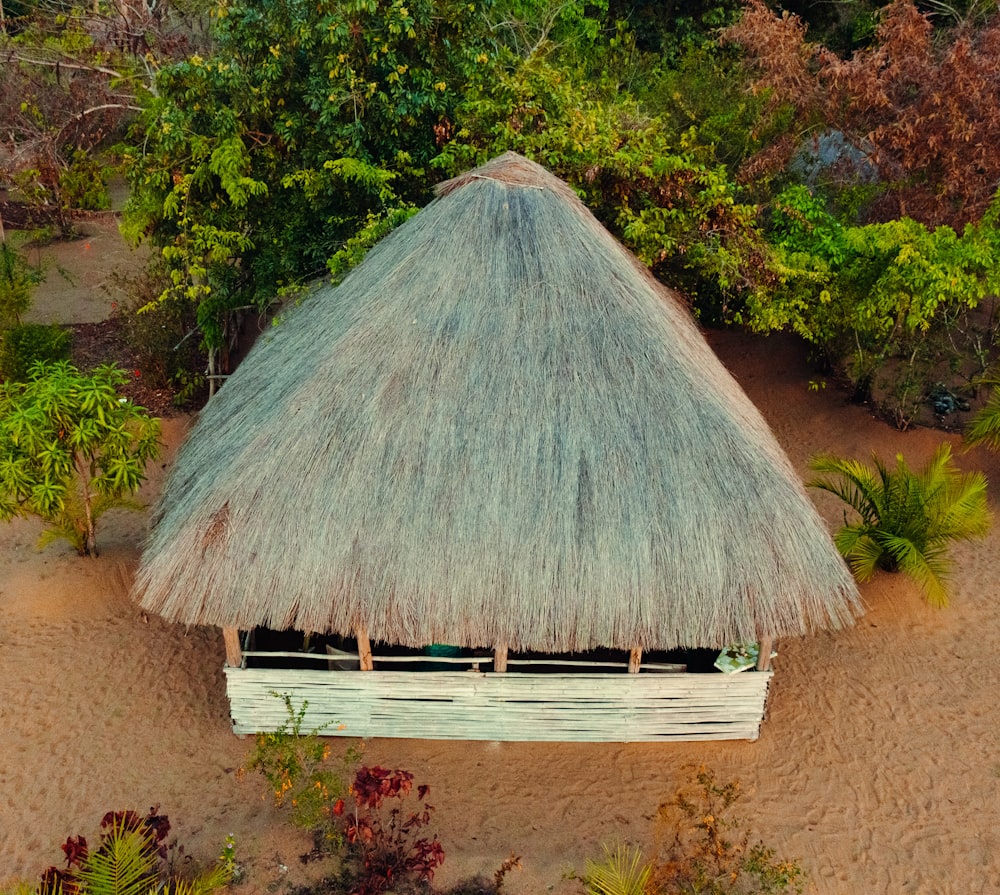 a hut with a thatched roof in the middle of a jungle