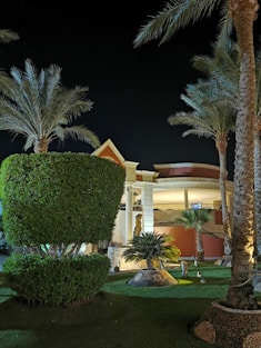 a building with a lot of palm trees in front of it