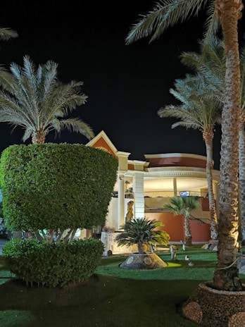 a building with a lot of palm trees in front of it