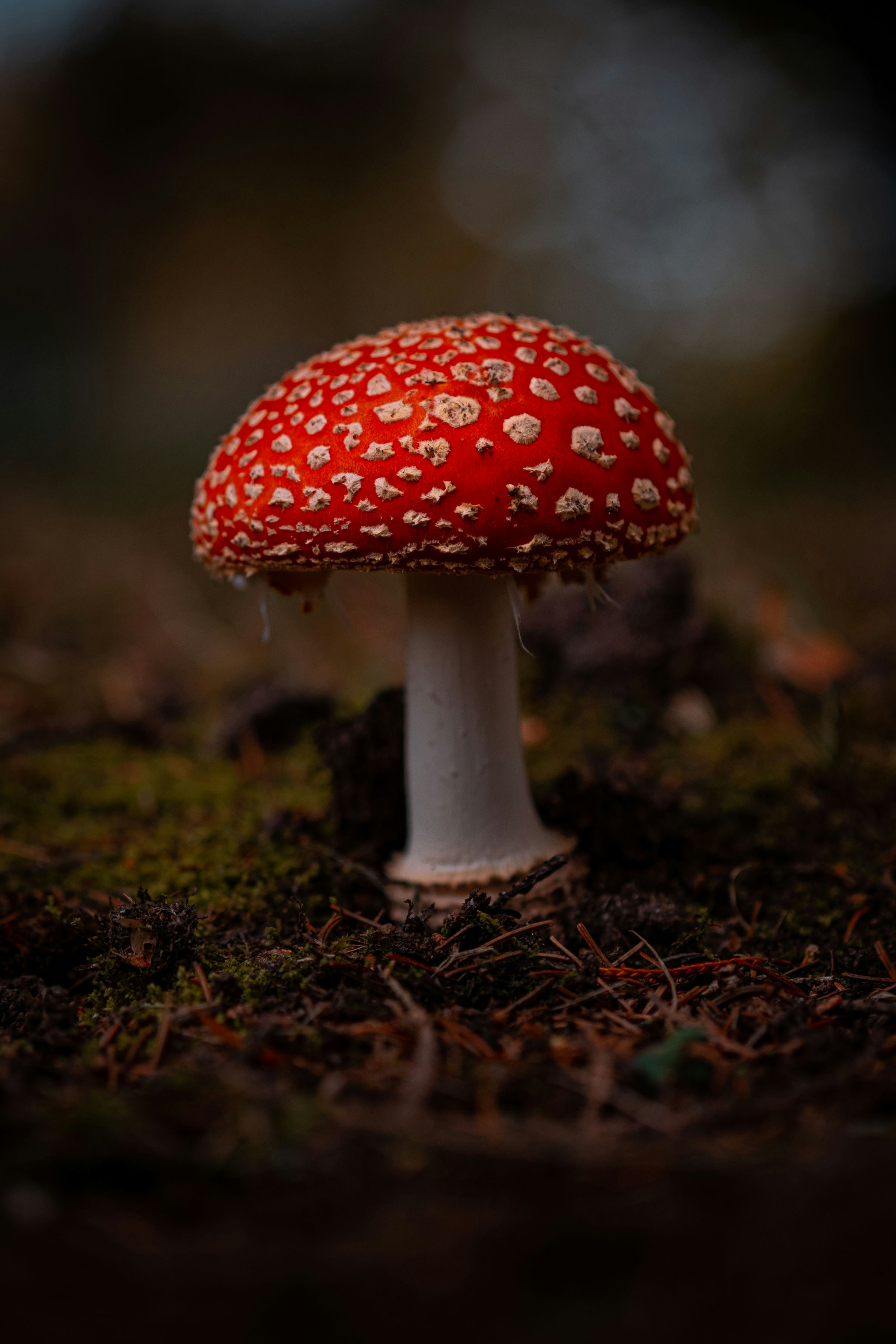 Photo by thebumpercrew