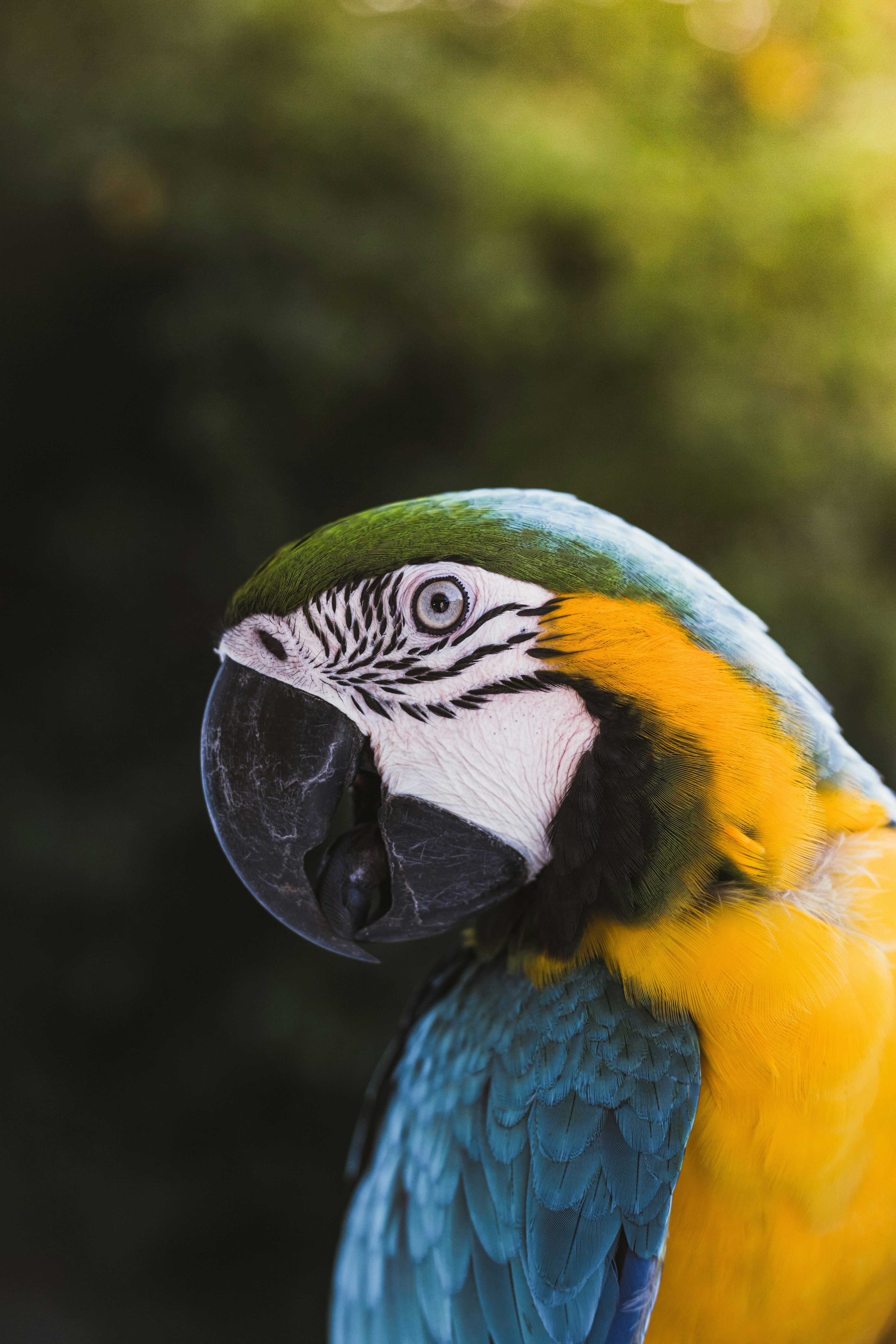 Photo by mohamed_lammah