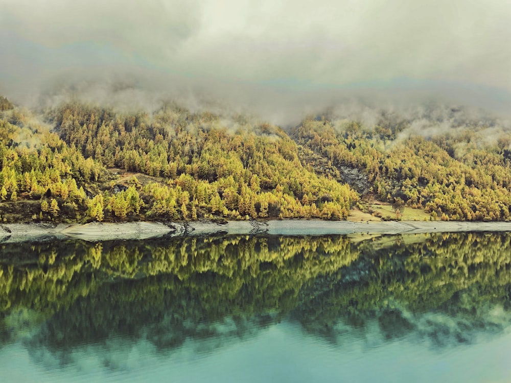 a lake surrounded by a forest covered hillside