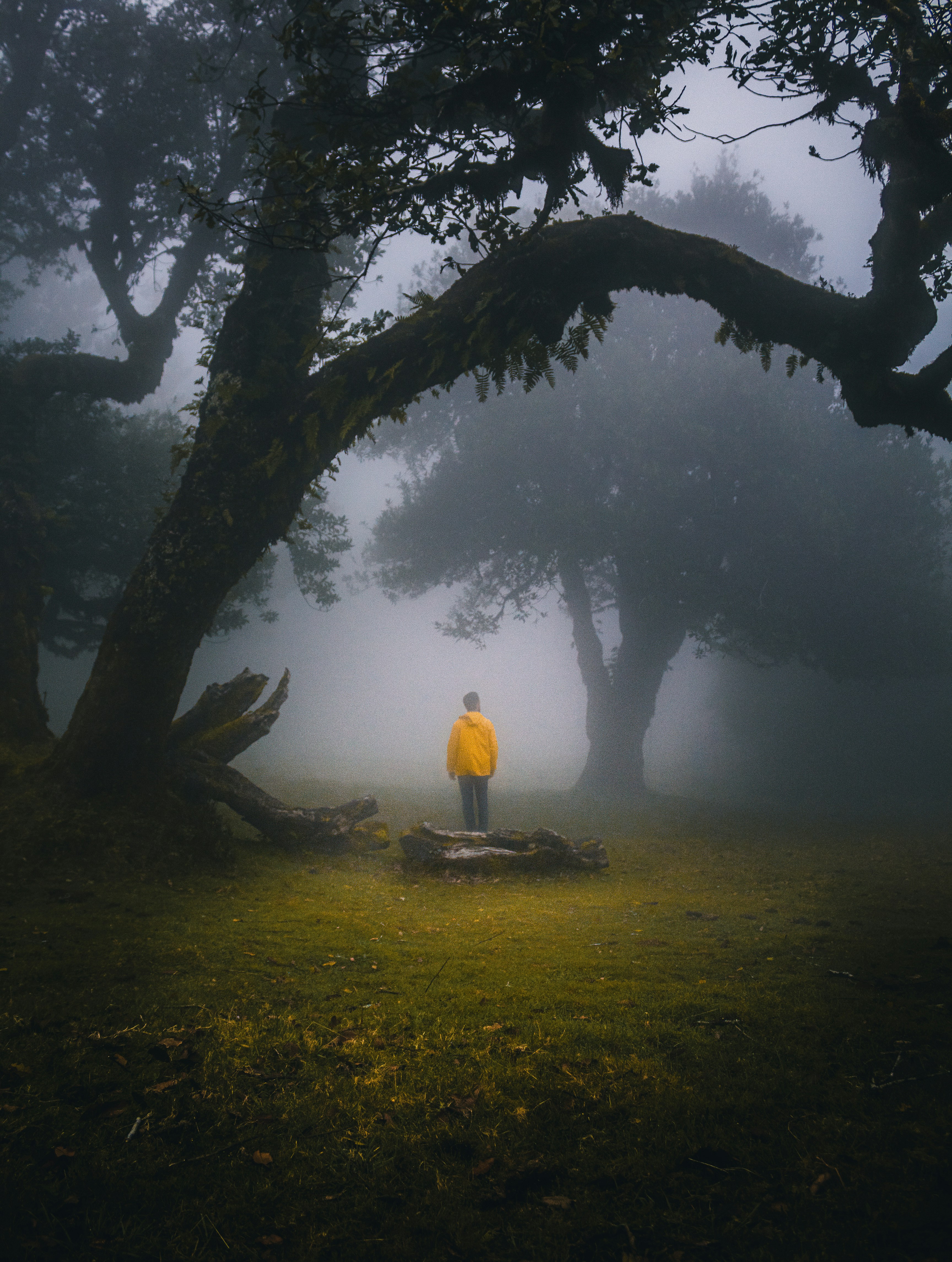 Photo by woodyvds