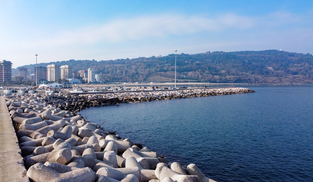 a large body of water next to a city