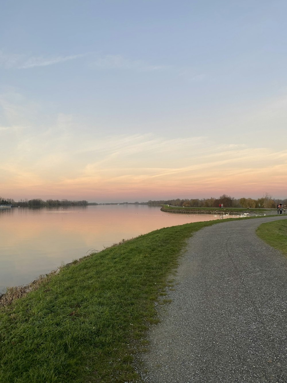 a path next to a body of water