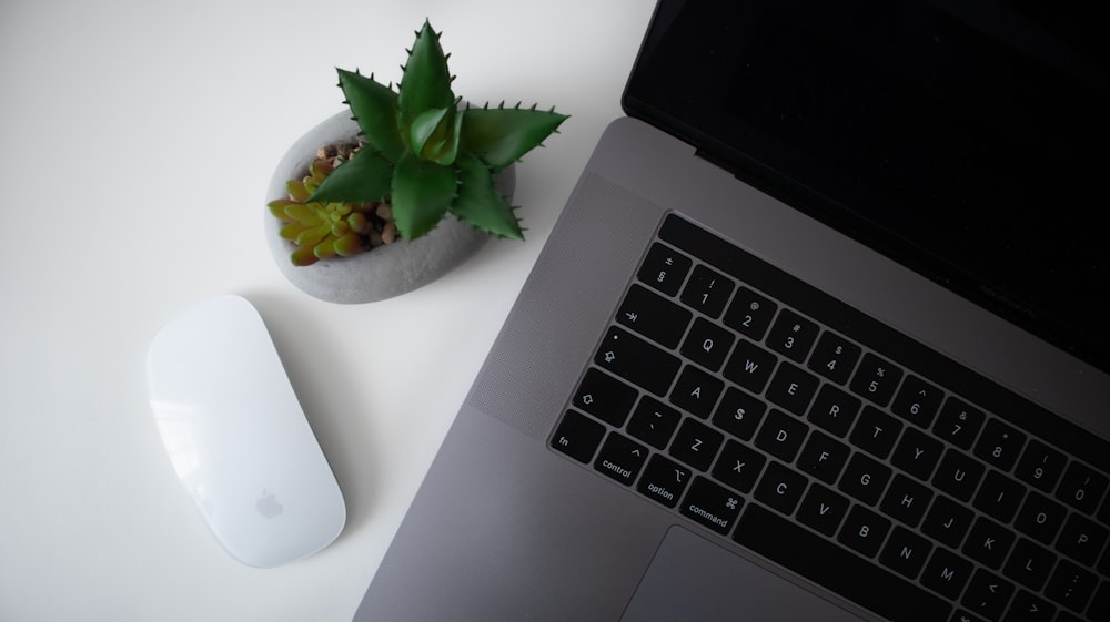 a laptop computer sitting next to a small plant