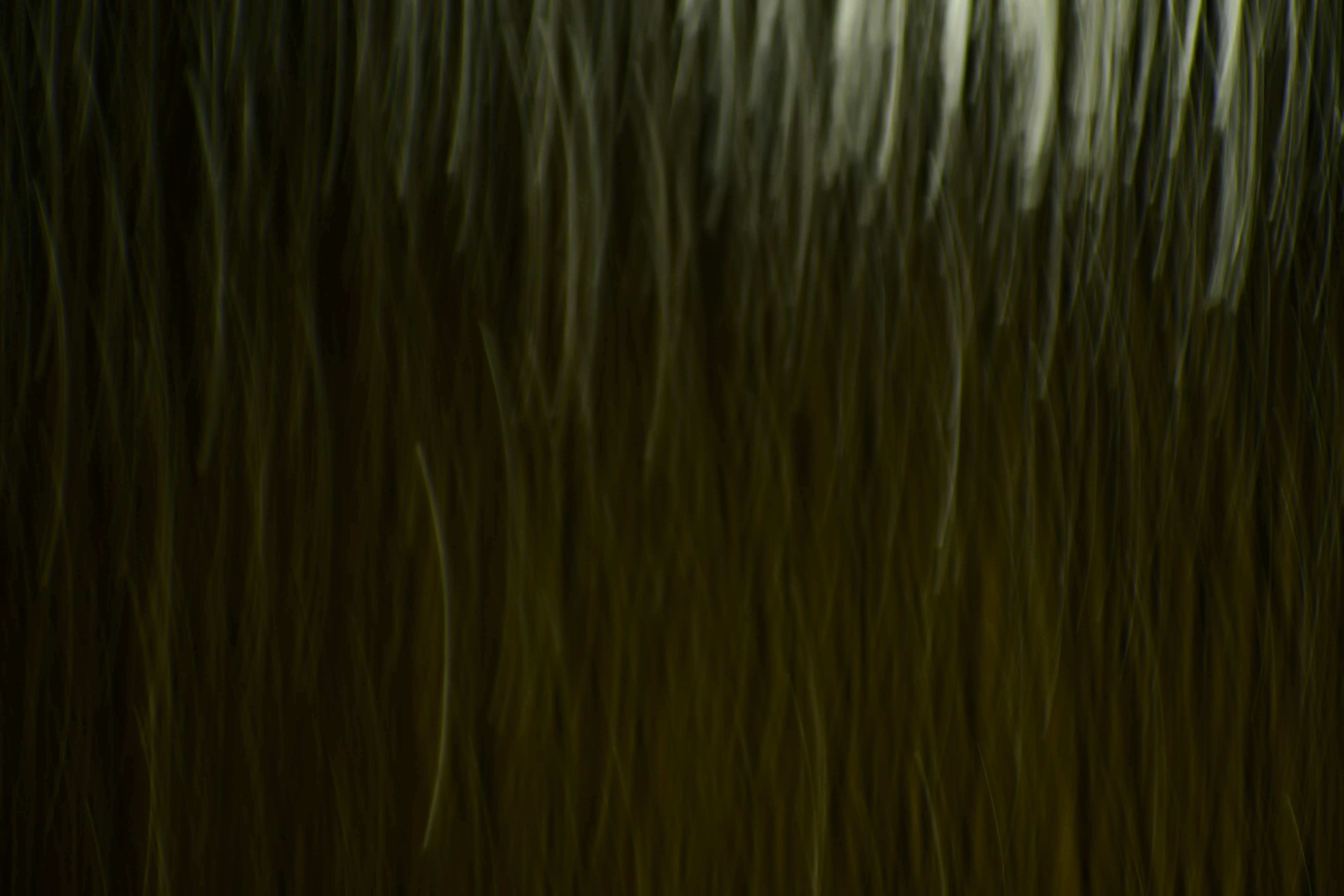 Doğal saç bakımı