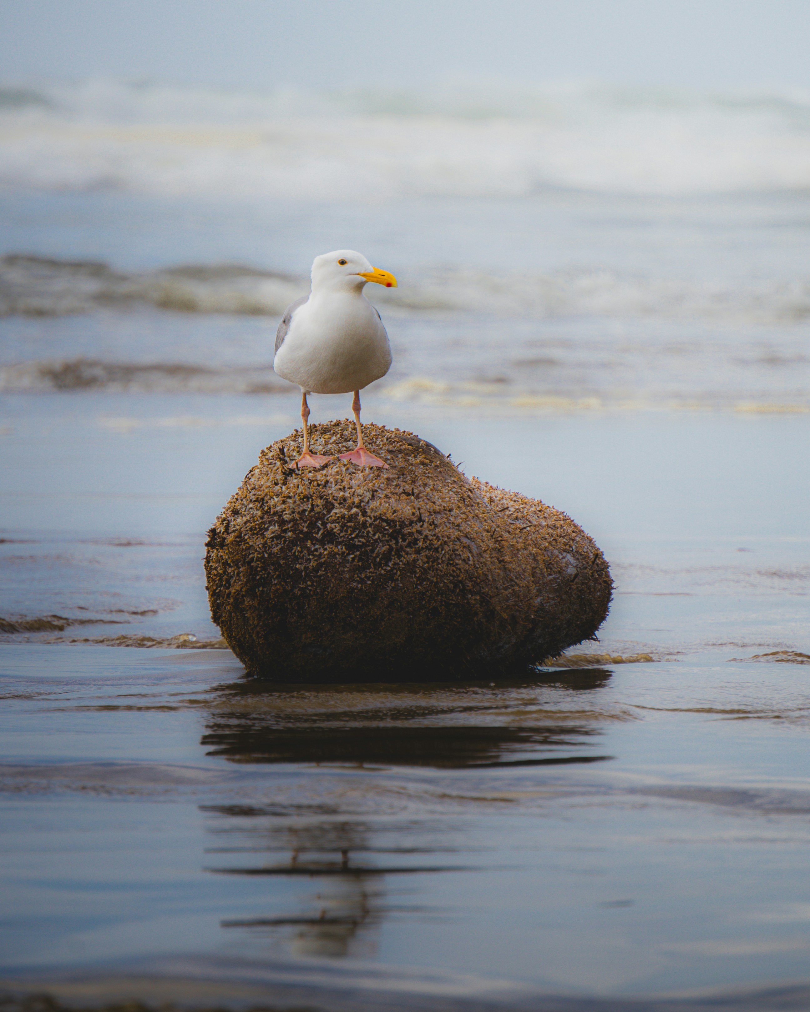 Photo by pics_by_harry