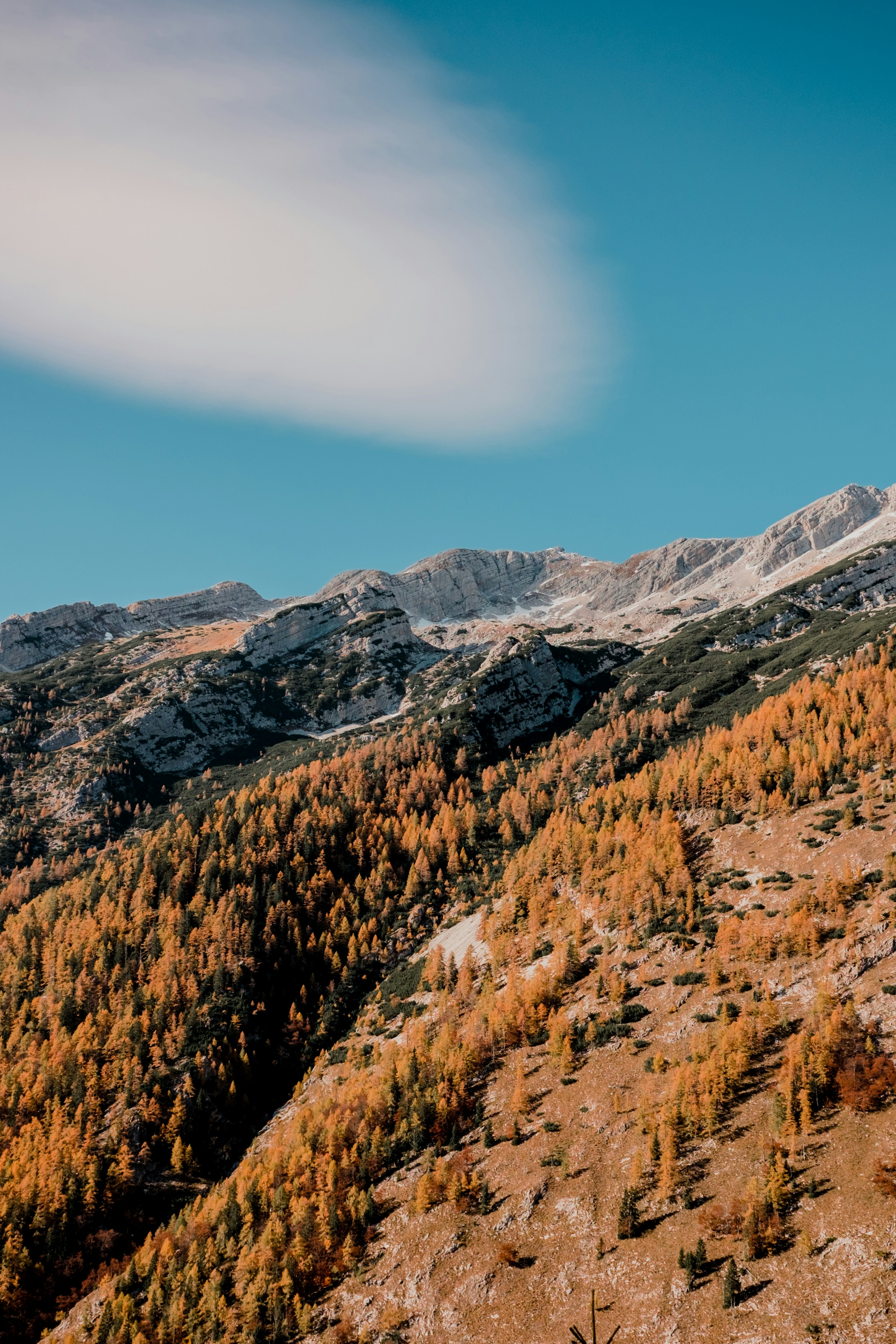 a view of a mountain range with trees in the foreground