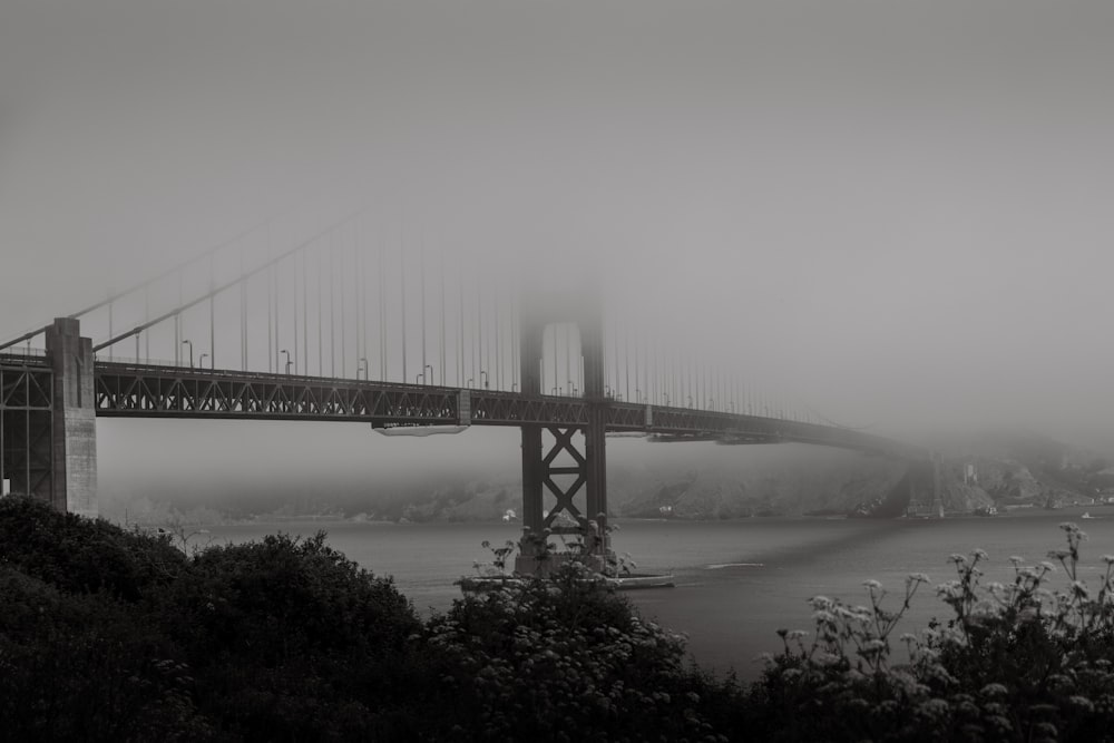 a foggy view of the golden gate bridge