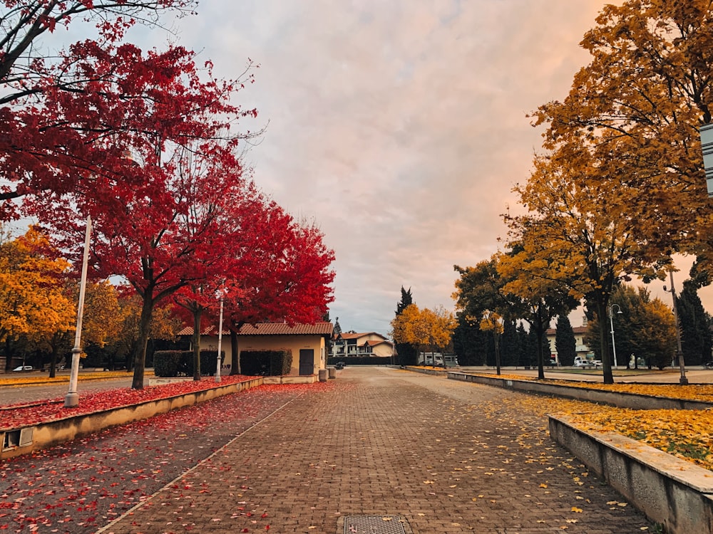 a brick road with trees and a building in the background