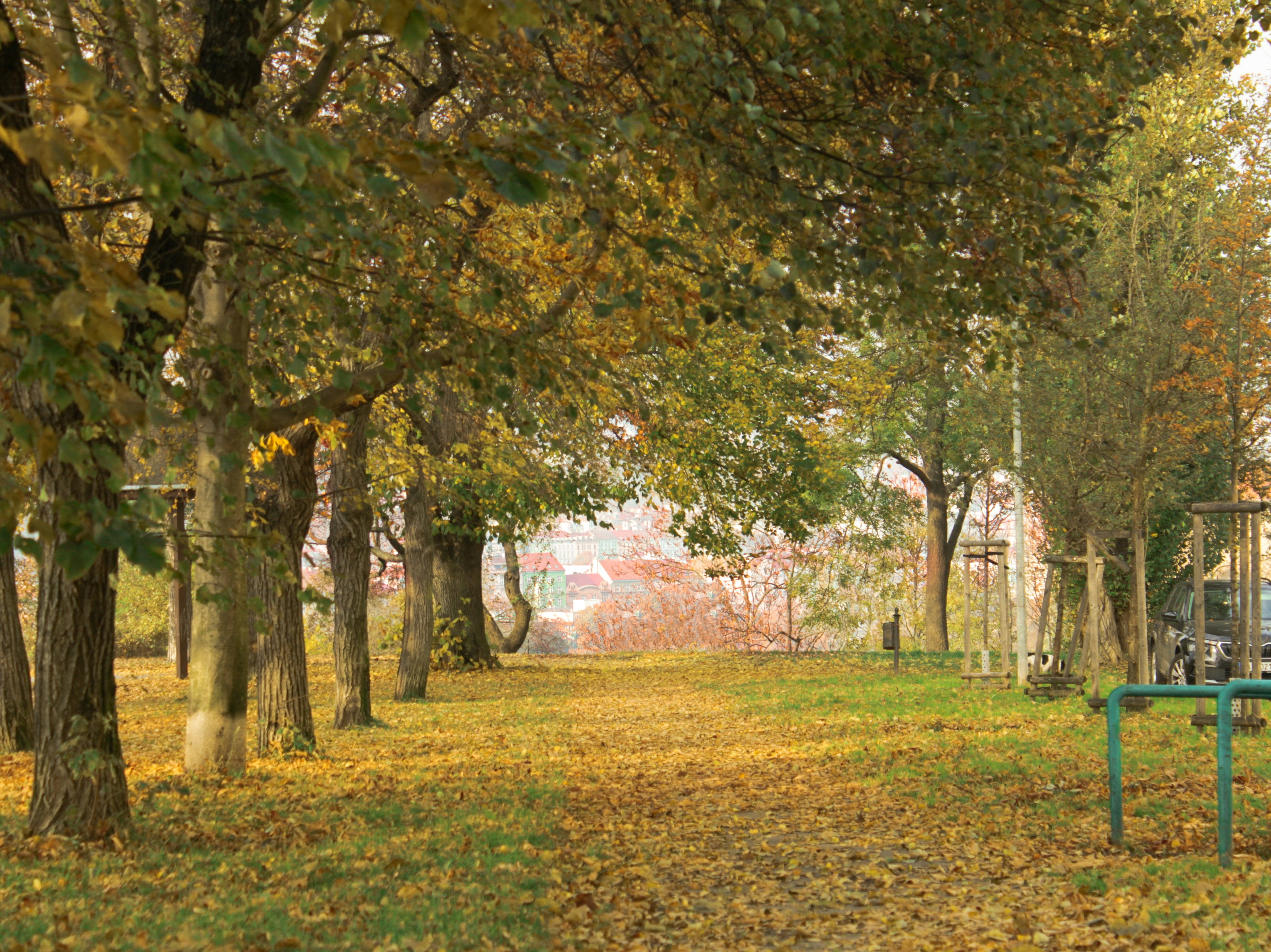 Photo by alexandra_zeglova