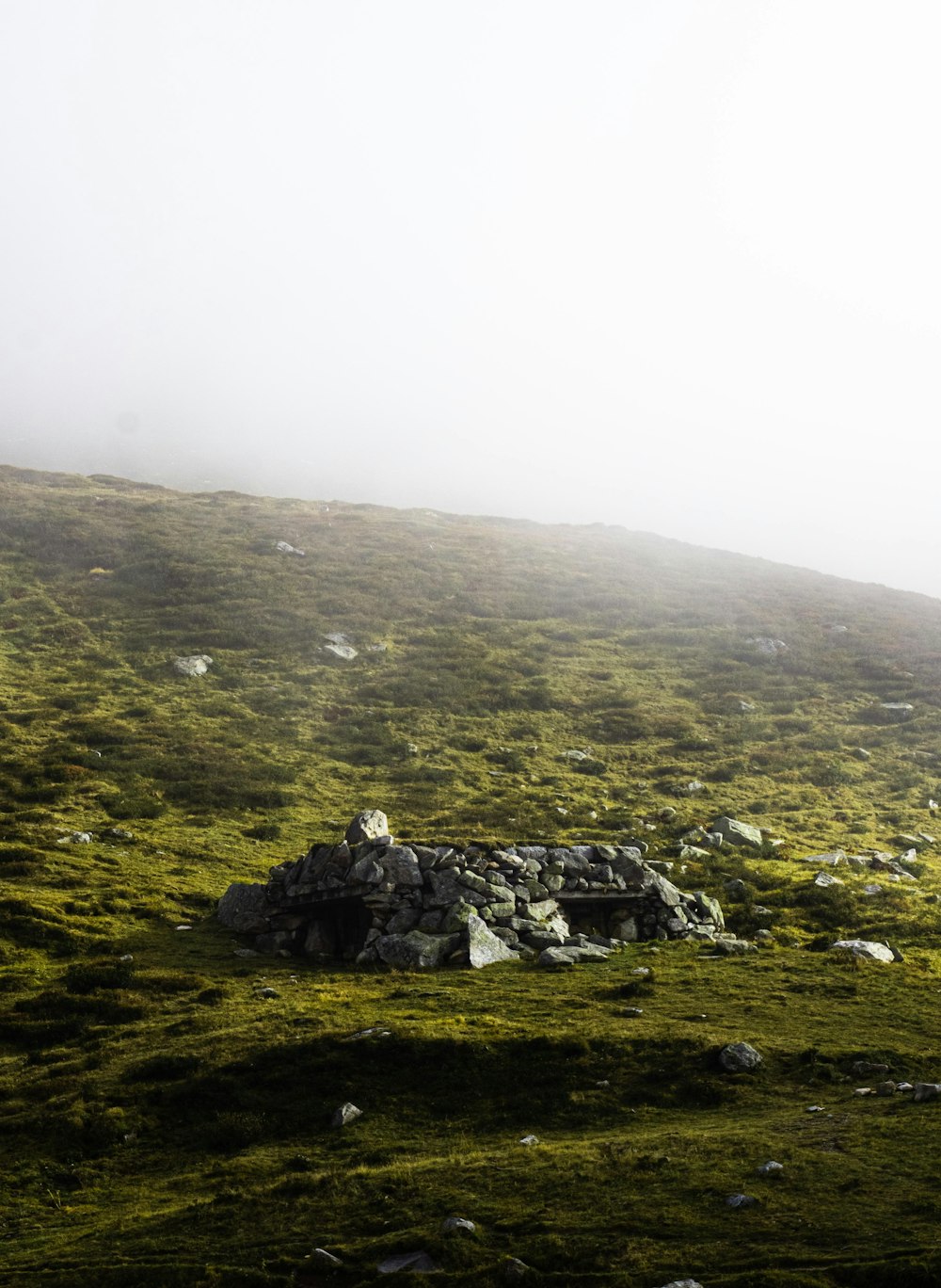 a lone sheep standing on top of a lush green hillside