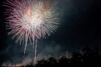 a large fireworks is lit up in the night sky