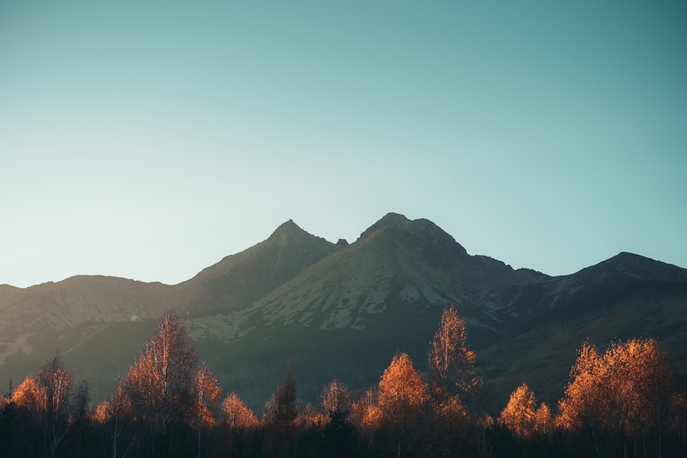 a mountain range with trees in the foreground and a blue sky in the background