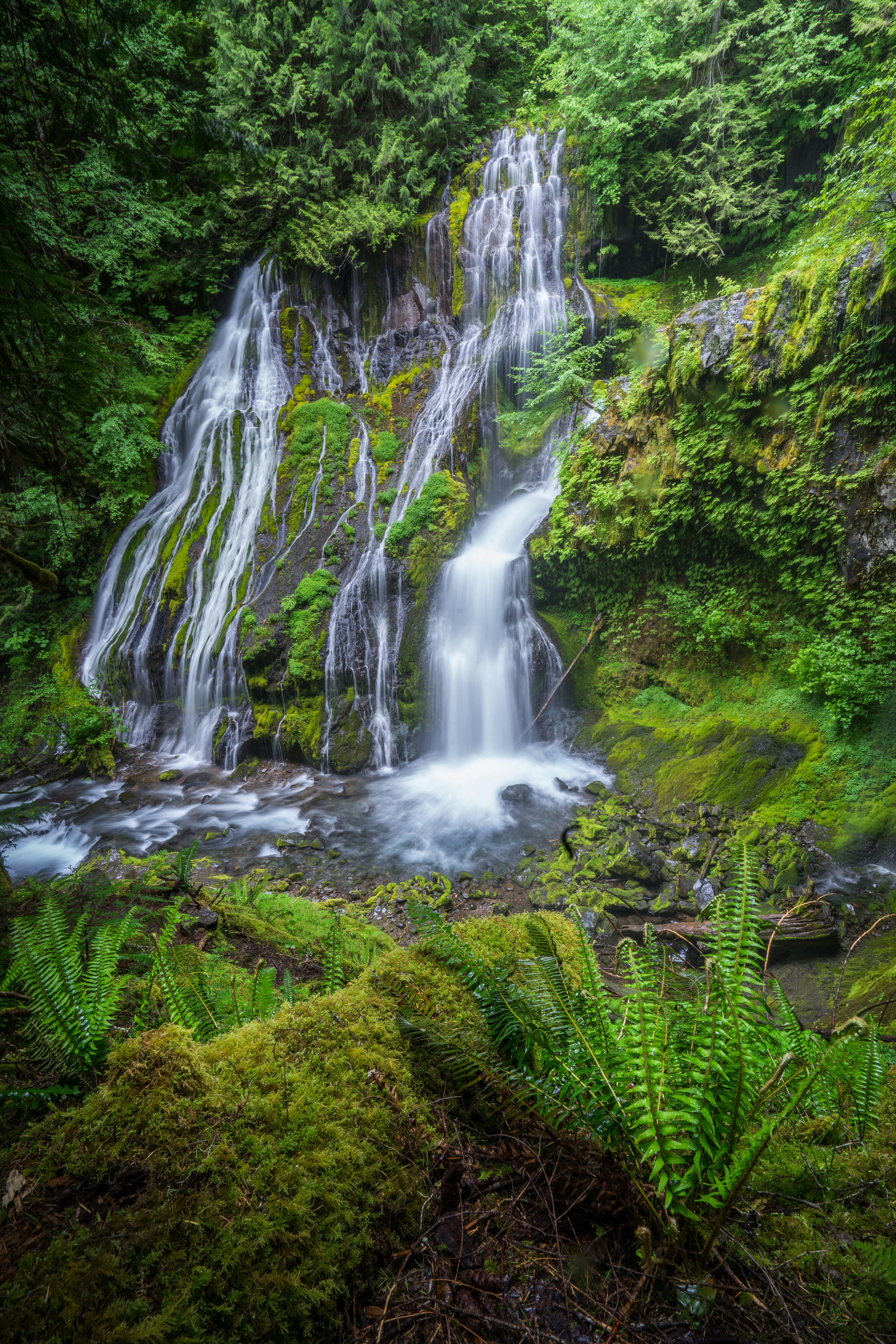 Photo by pics_by_harry