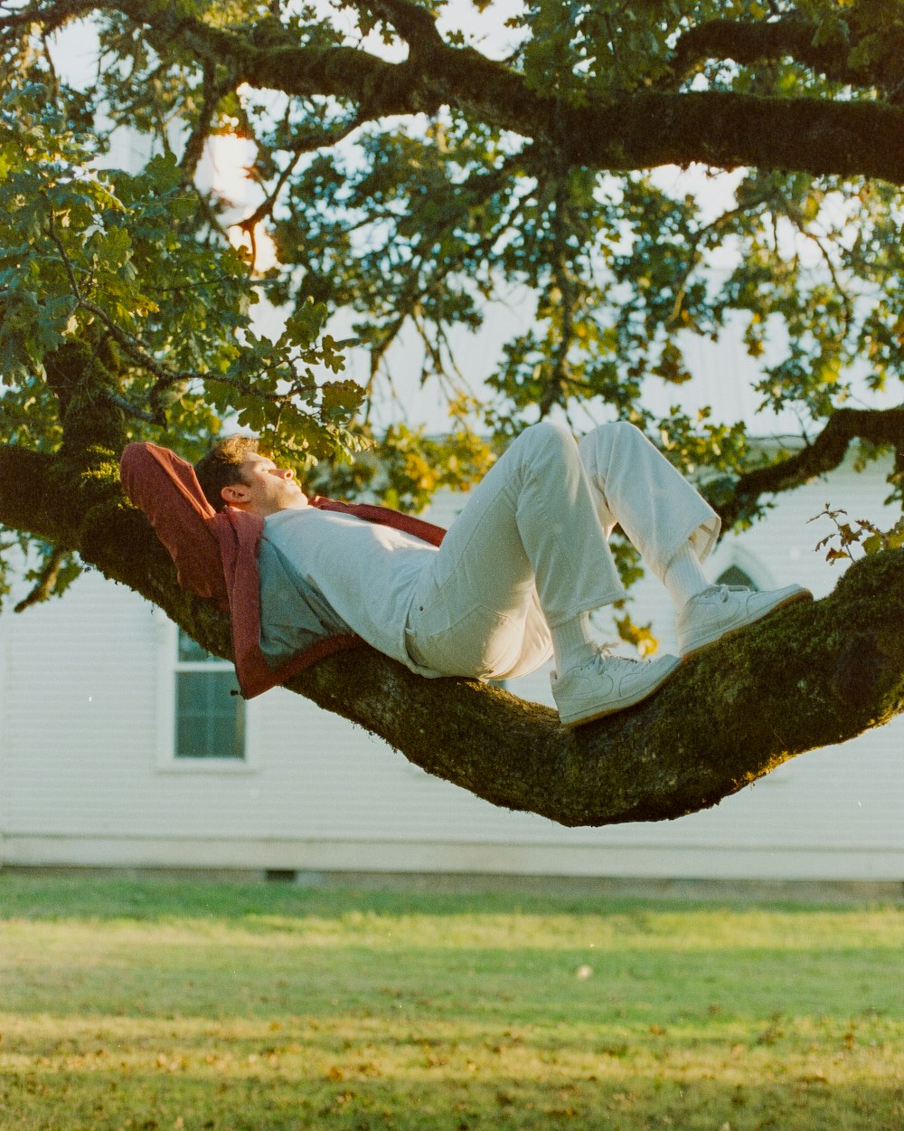 a man laying on a tree branch in a yard