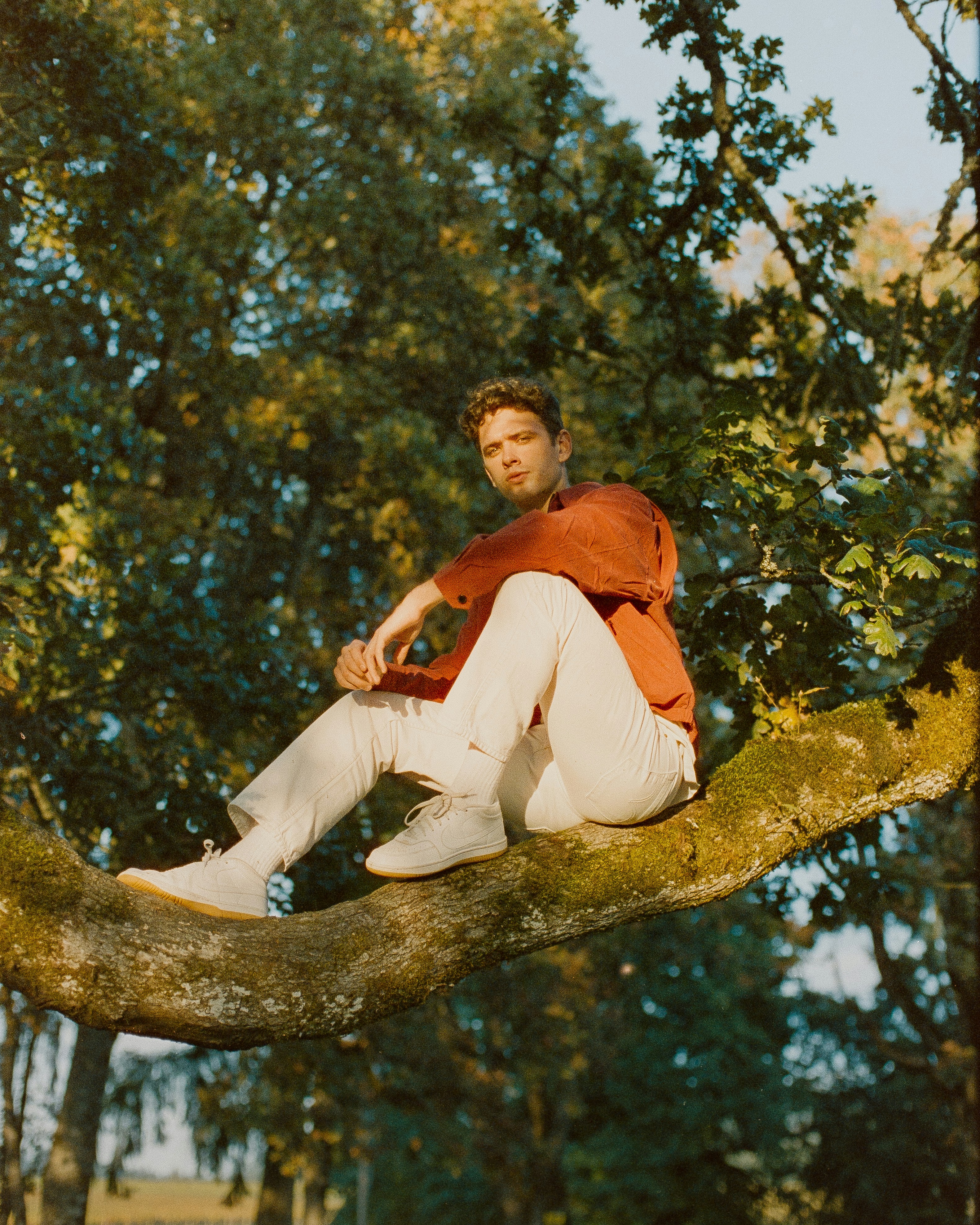a man sitting on a branch of a tree