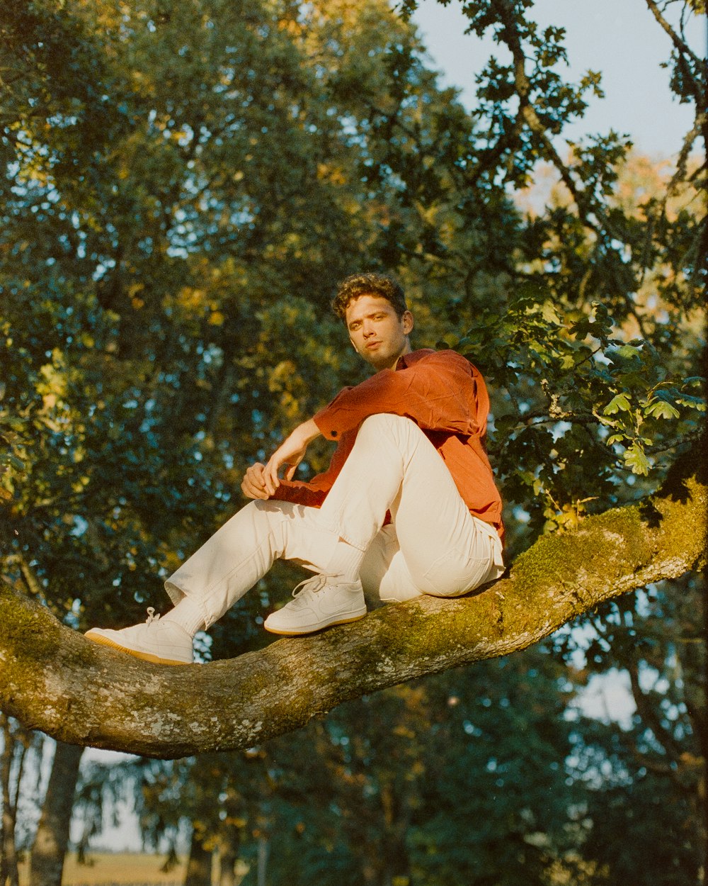 a man sitting on a branch of a tree